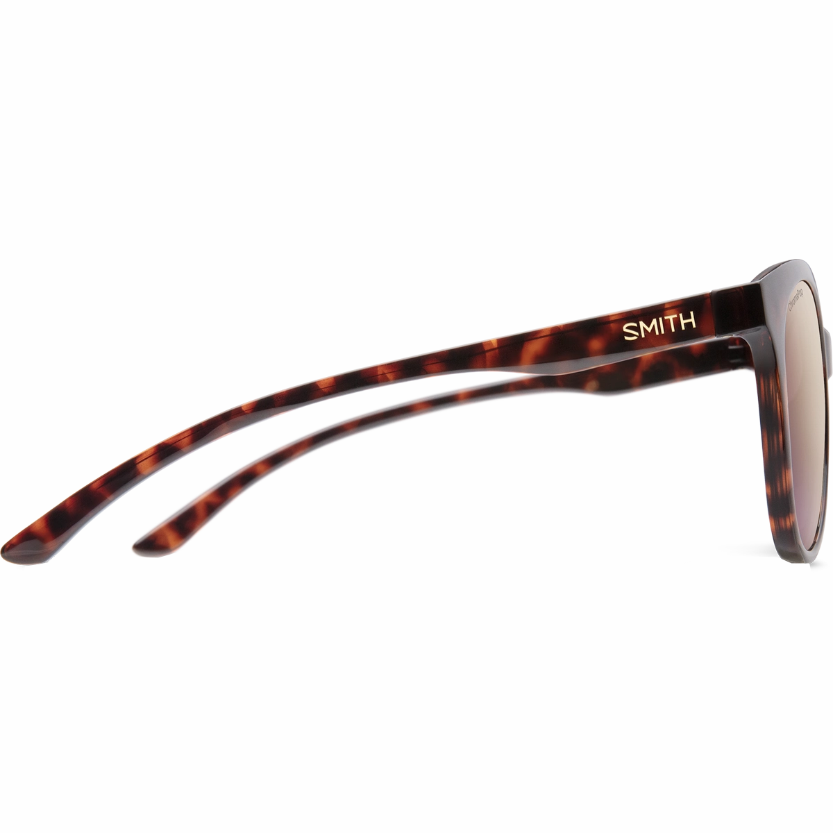 Bayside Polarized