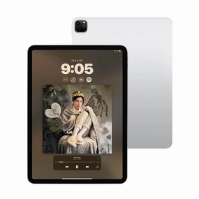 iPad Pro 11 Inch 4th Gen (WiFi)
