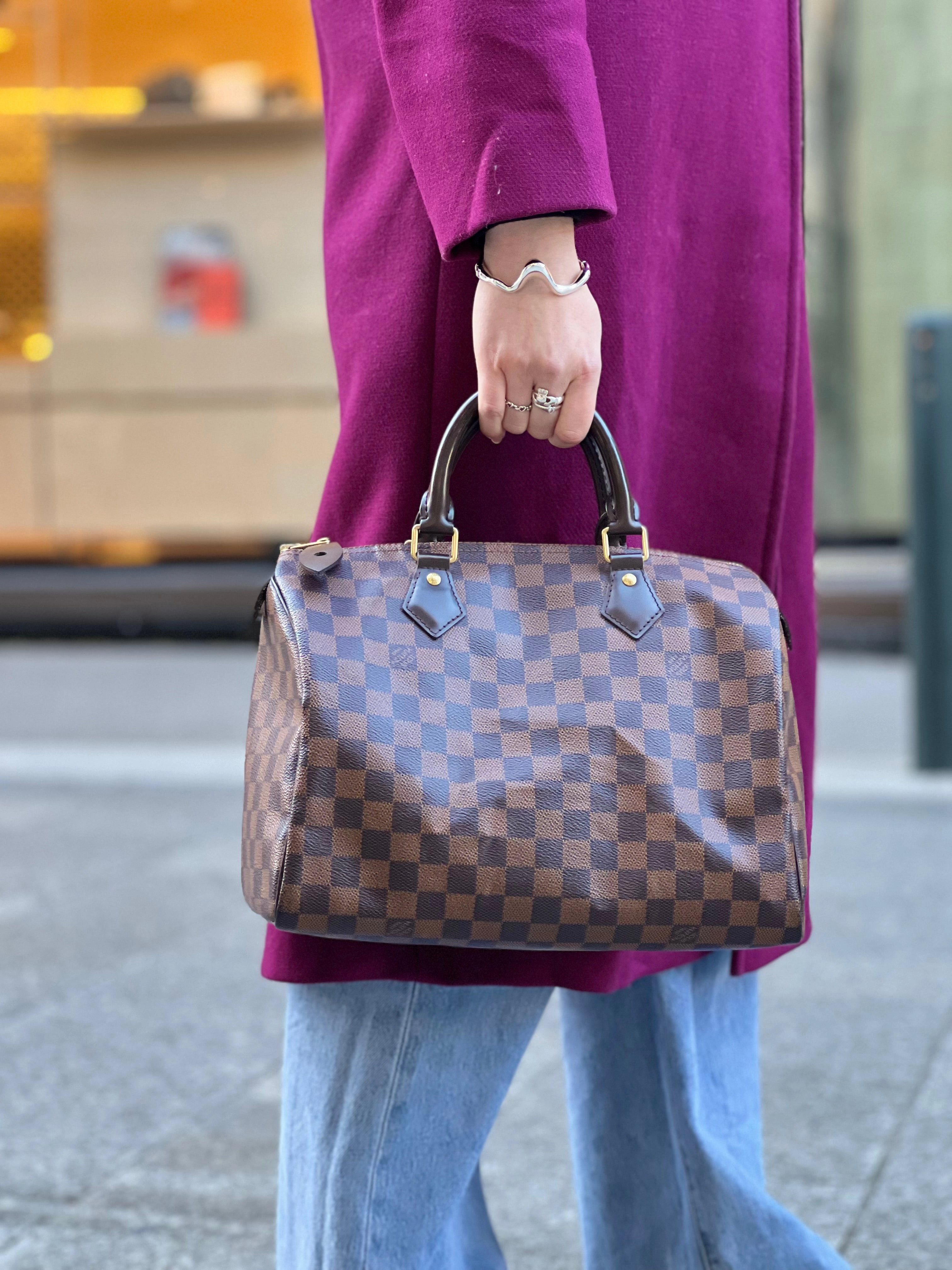 Louis Vuitton Damier Ebene Canvas & Leather Speedy 30