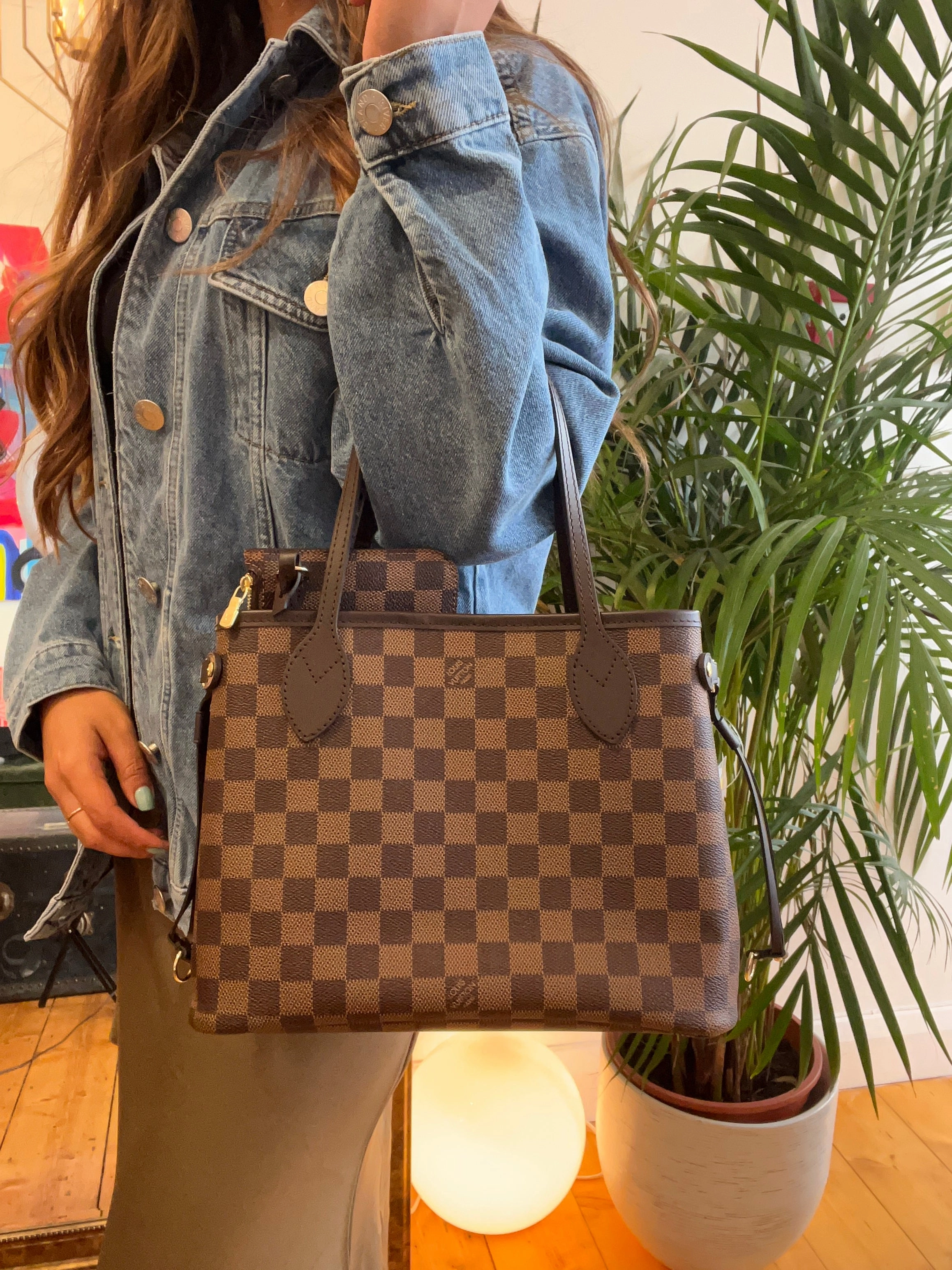 Louis Vuitton Damier Ebene Canvas Neverful PM