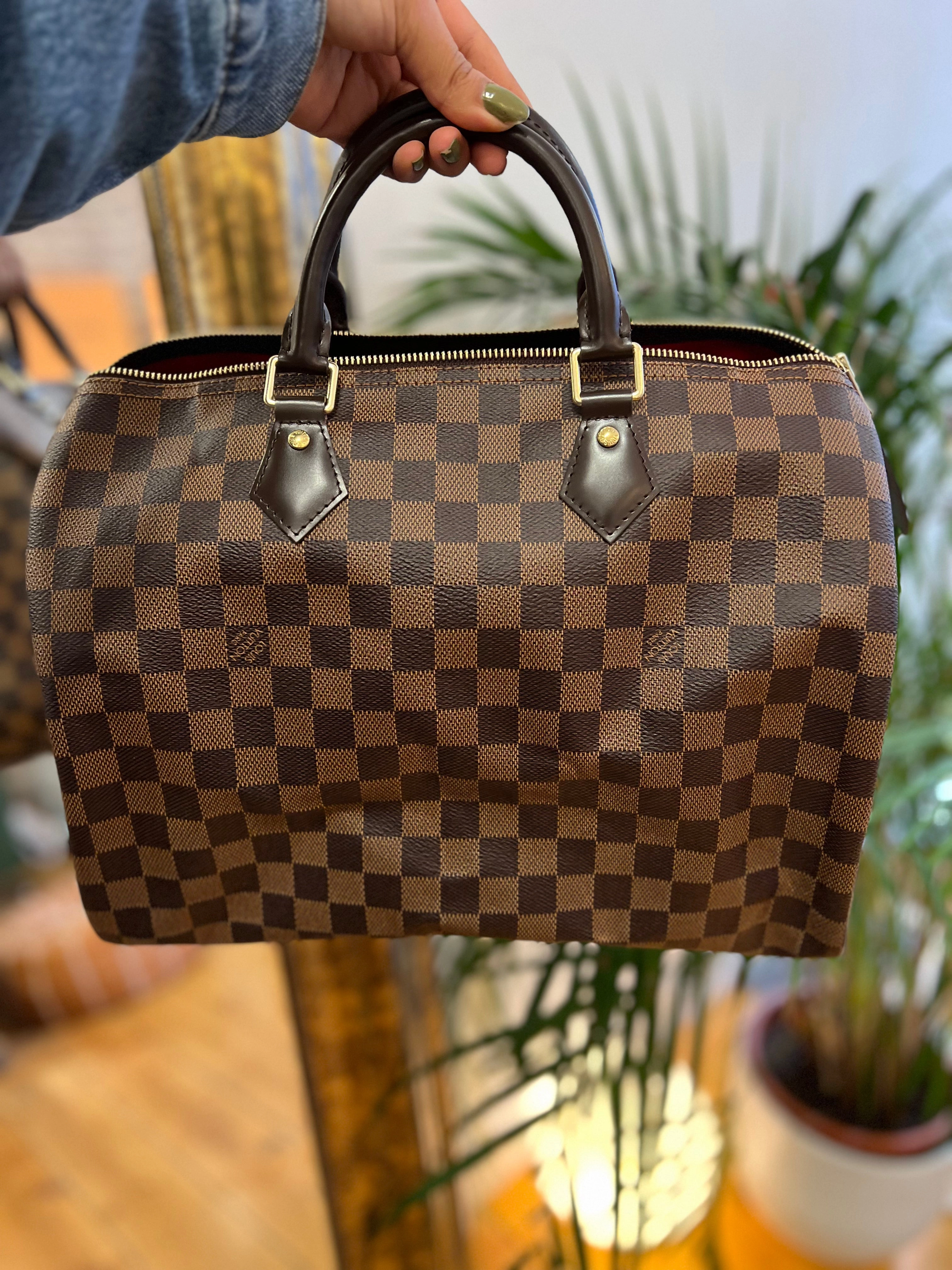 Louis Vuitton Damier Ebene Canvas Speedy 30