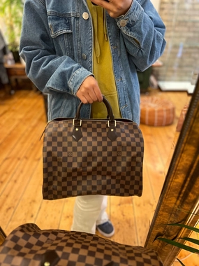 Louis Vuitton Damier Ebene Canvas Speedy 30