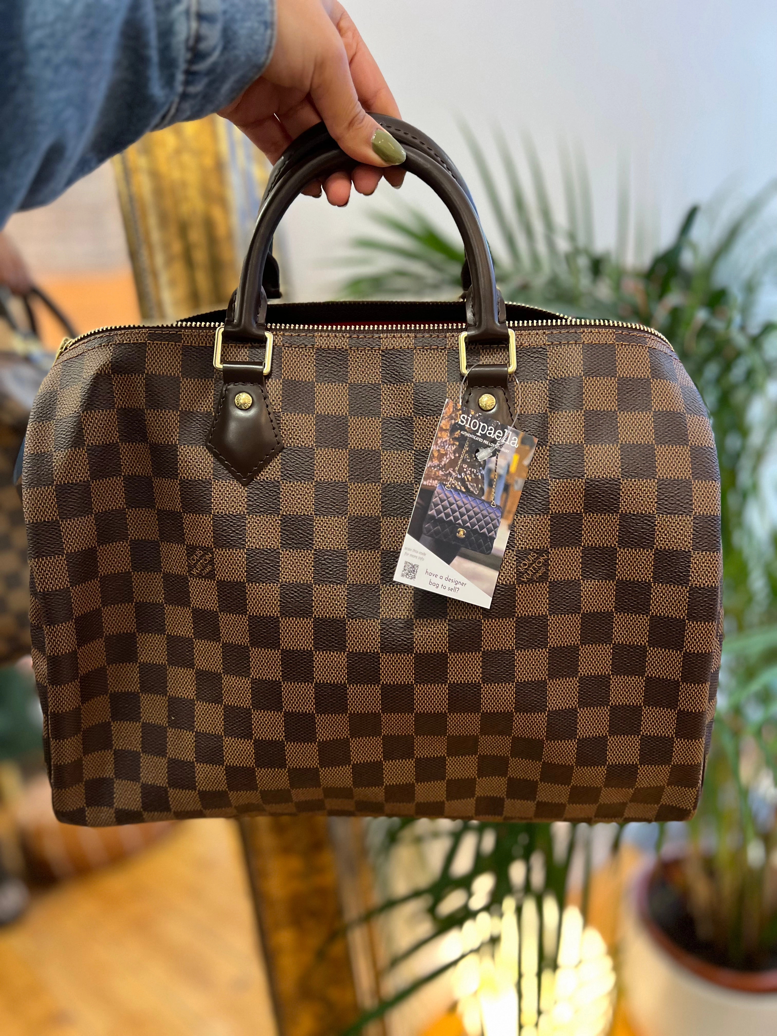 Louis Vuitton Damier Ebene Canvas Speedy 30