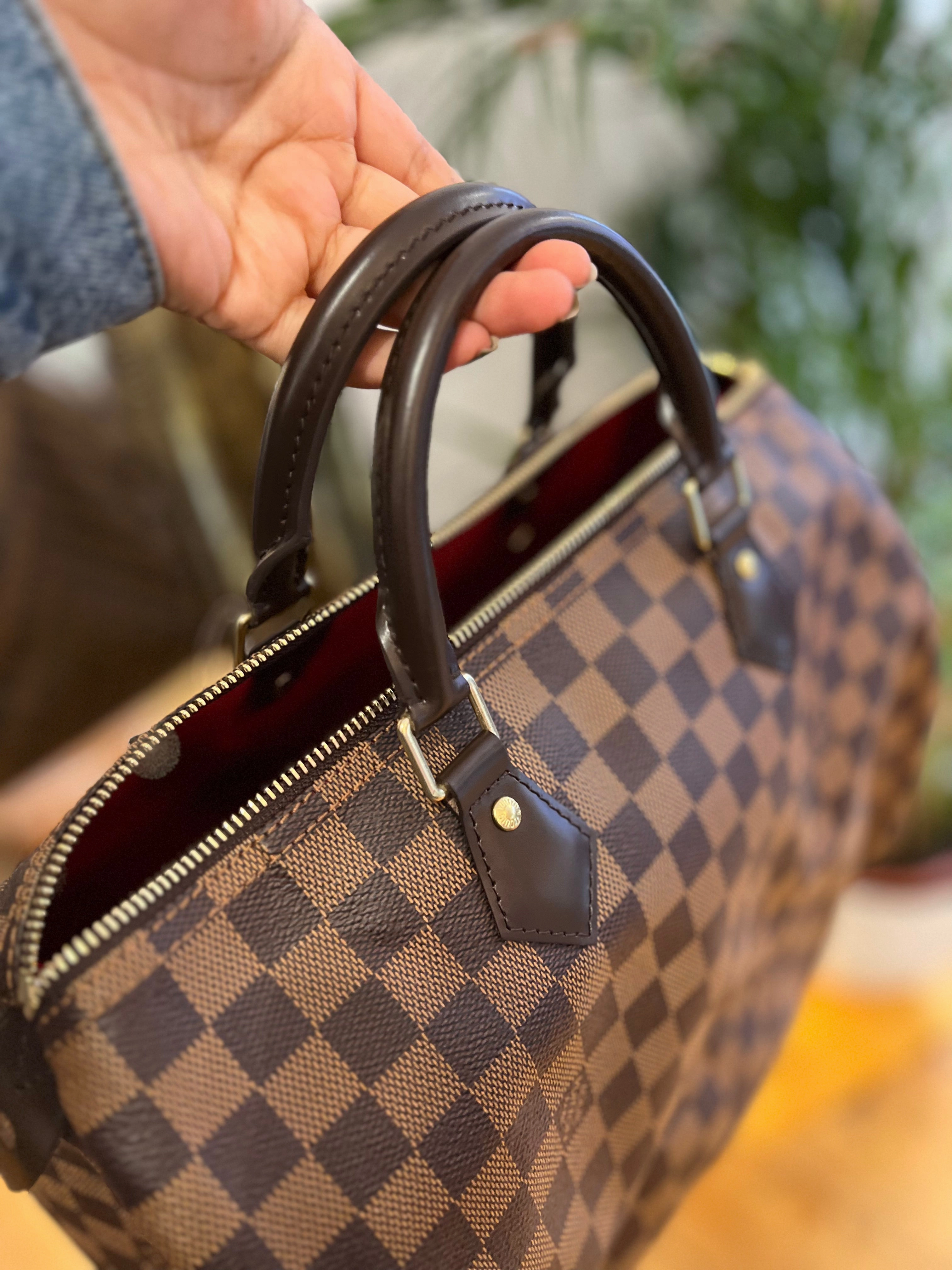 Louis Vuitton Damier Ebene Canvas Speedy 30