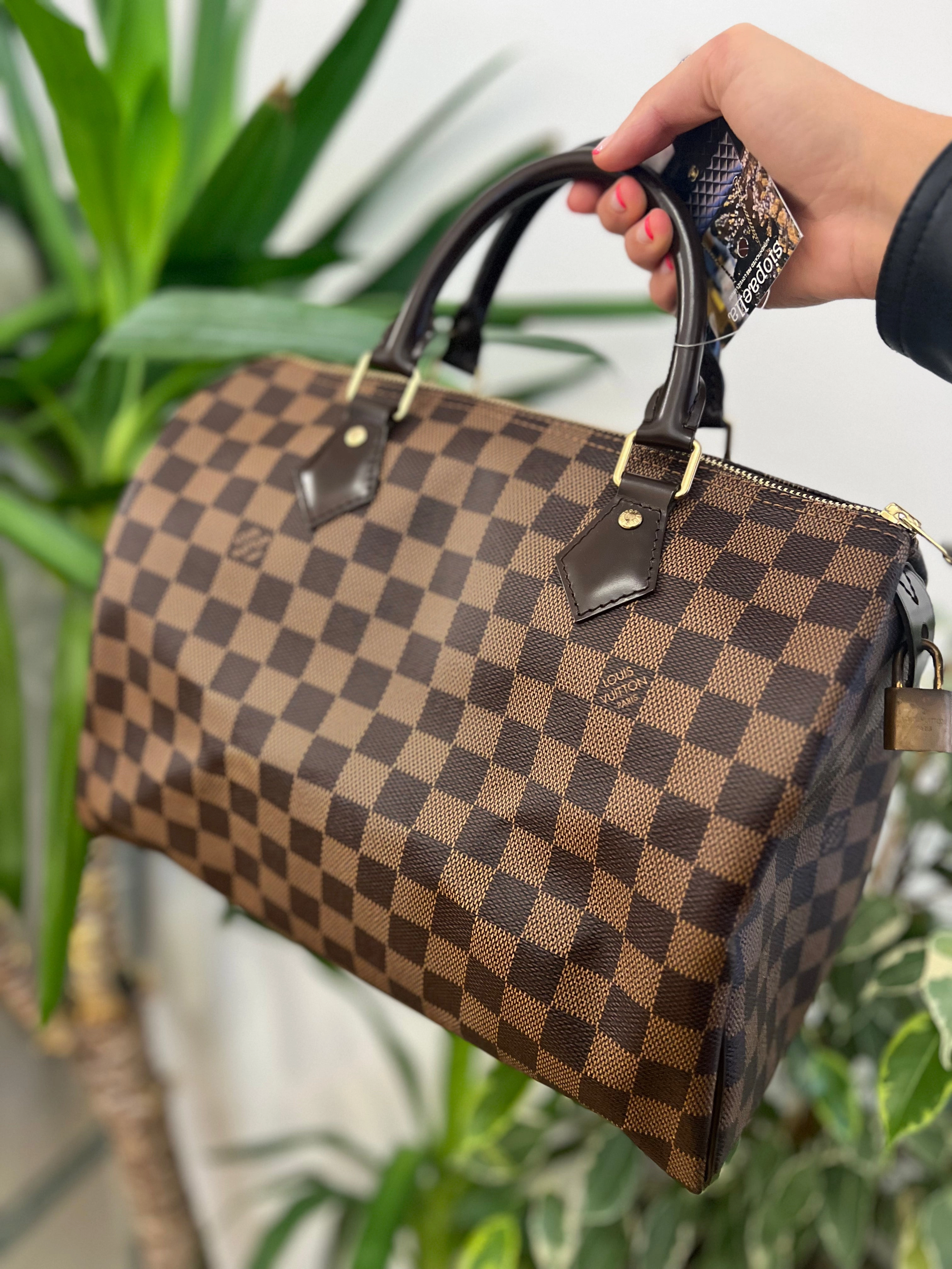 Louis Vuitton Damier Ebene Canvas Speedy 30