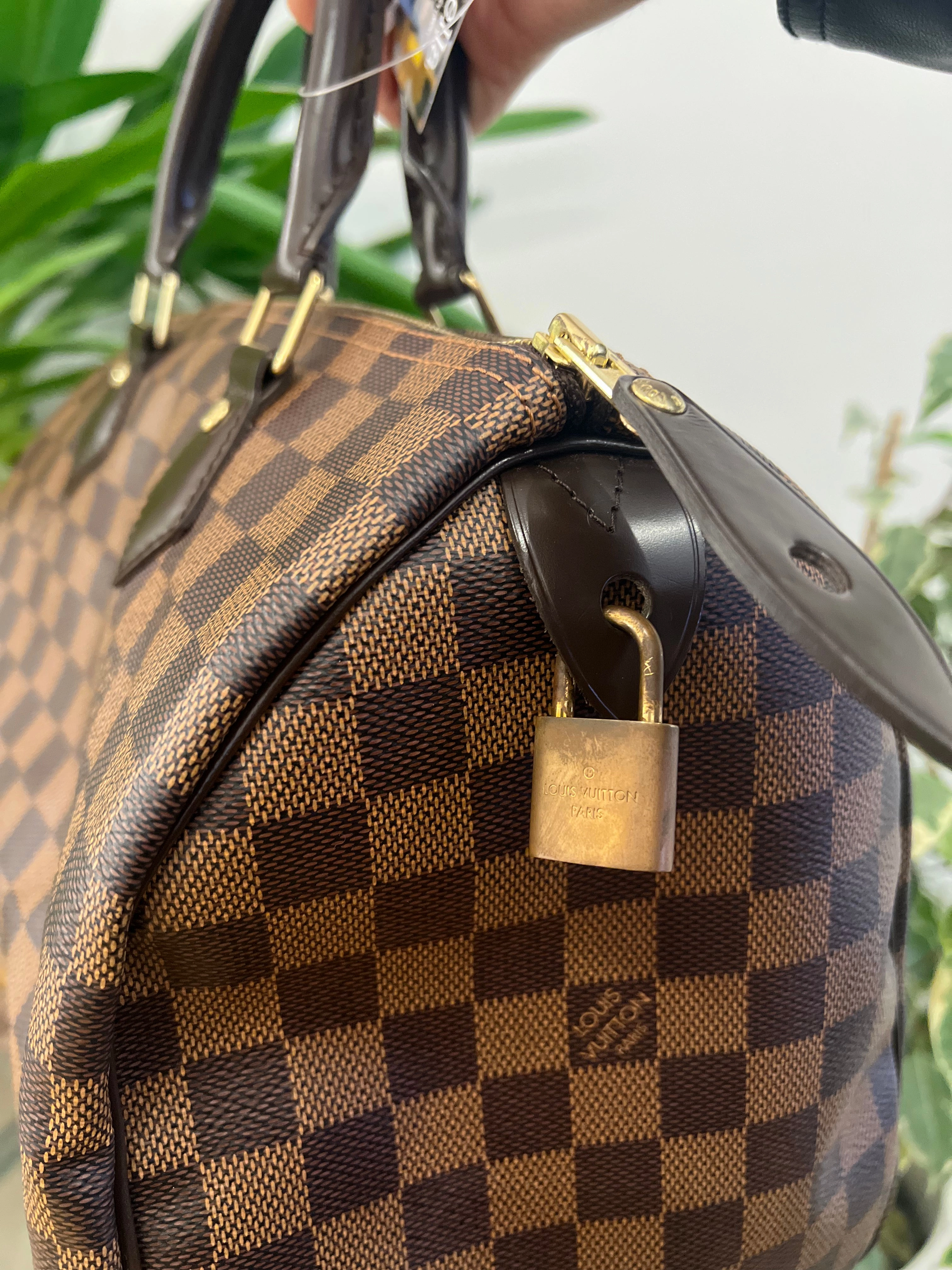 Louis Vuitton Damier Ebene Canvas Speedy 30
