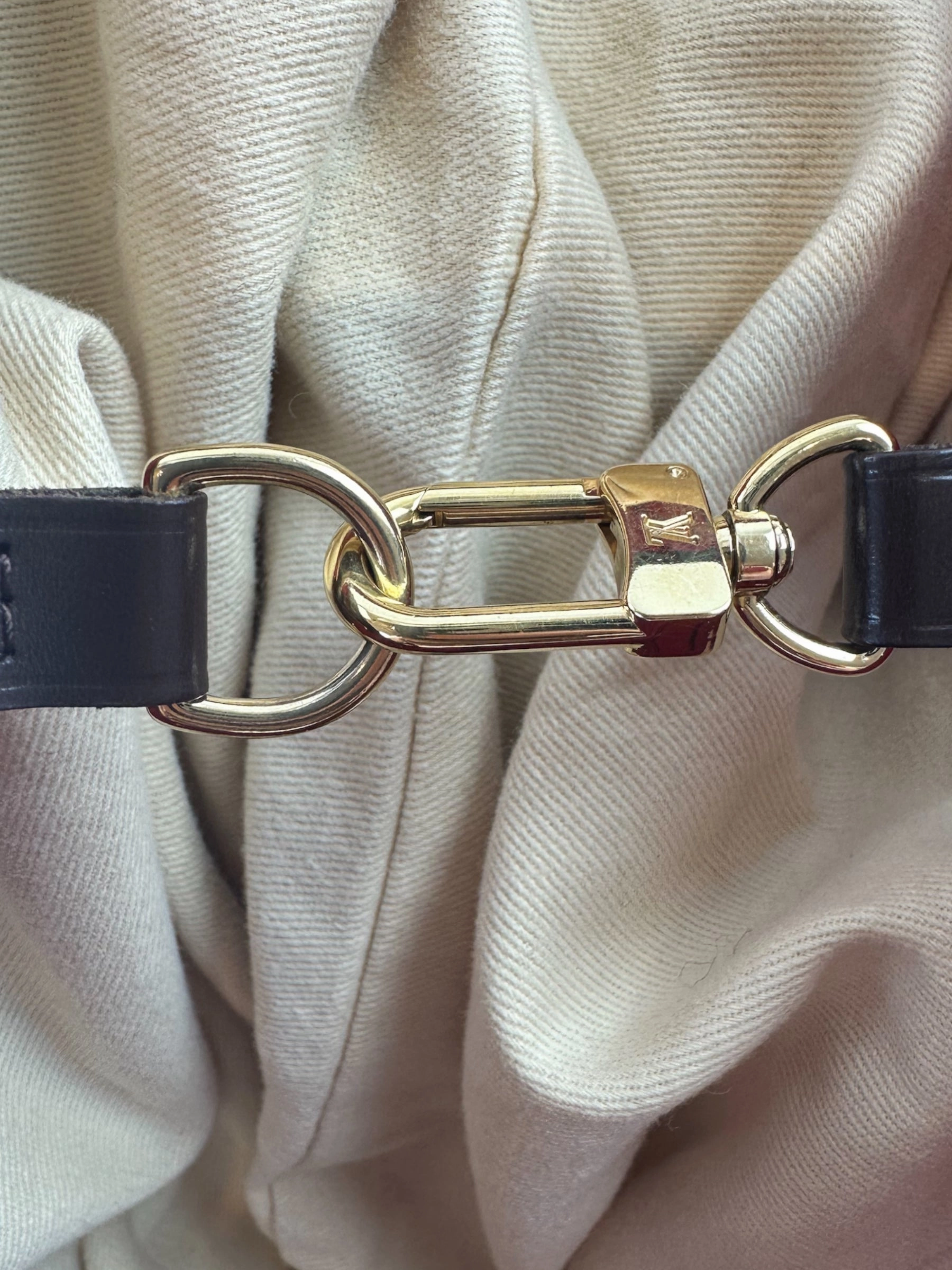 Louis Vuitton Damier Evene Neverfull MM