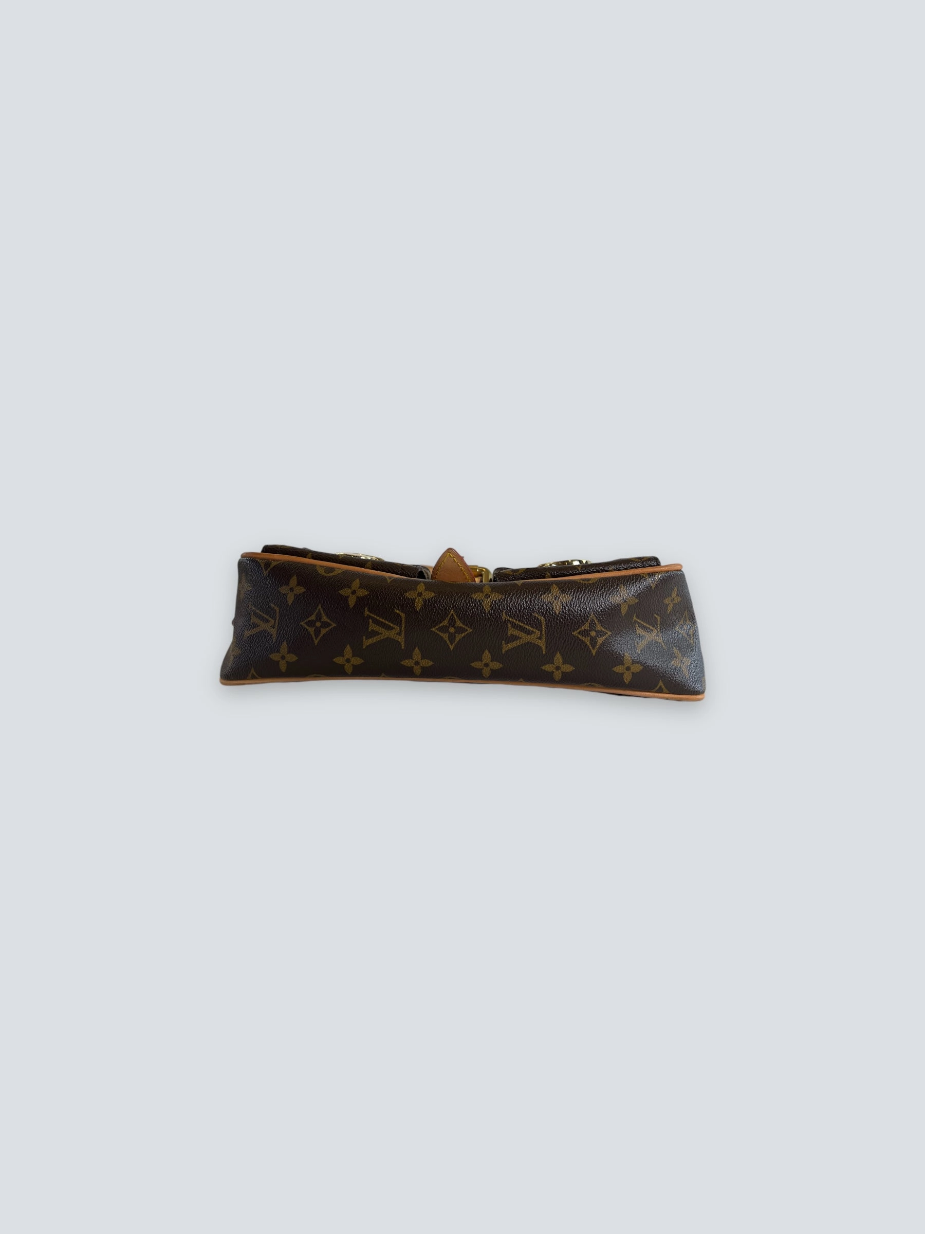 Louis Vuitton Monogram Canvas & Leather Hudson Shoulder Bag