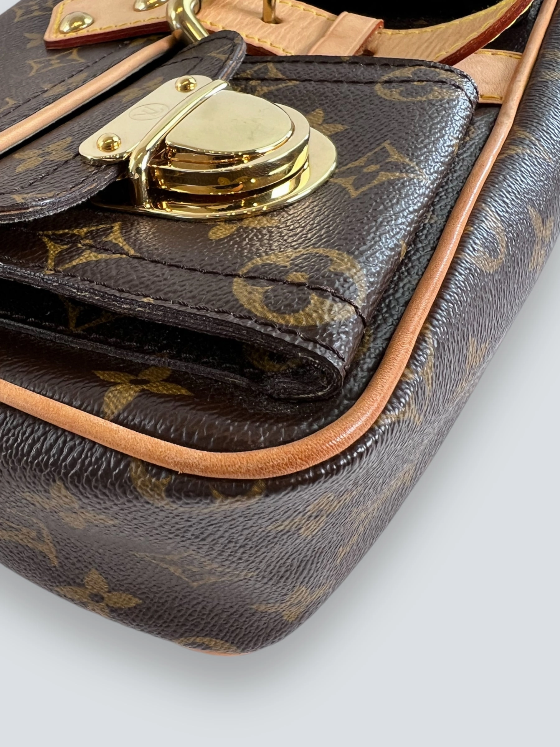 Louis Vuitton Monogram Canvas & Leather Hudson Shoulder Bag