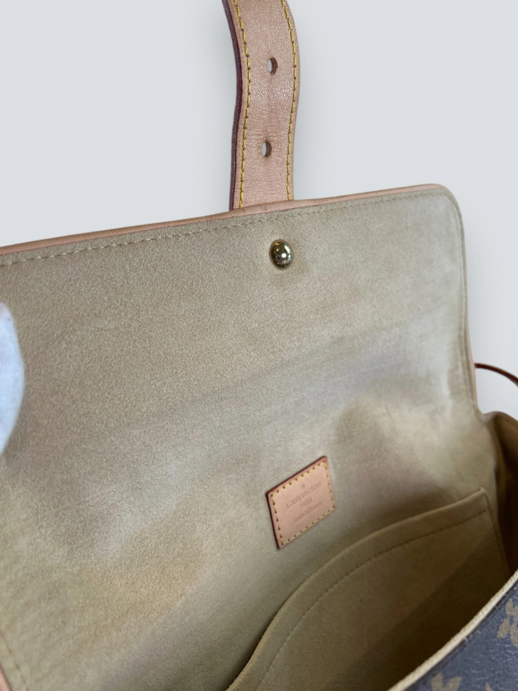 Louis Vuitton Monogram Canvas & Leather Hudson Shoulder Bag
