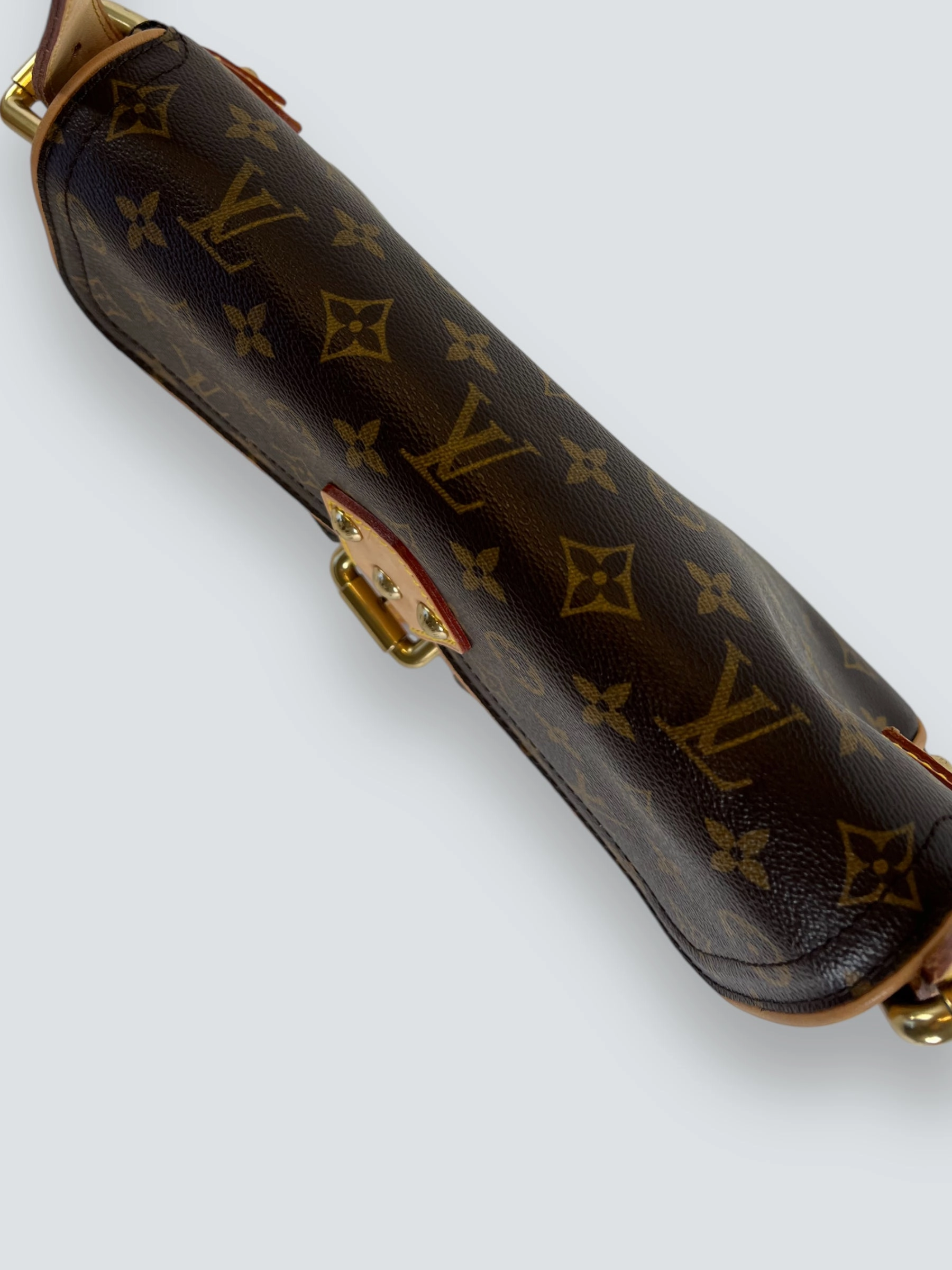 Louis Vuitton Monogram Canvas & Leather Hudson Shoulder Bag
