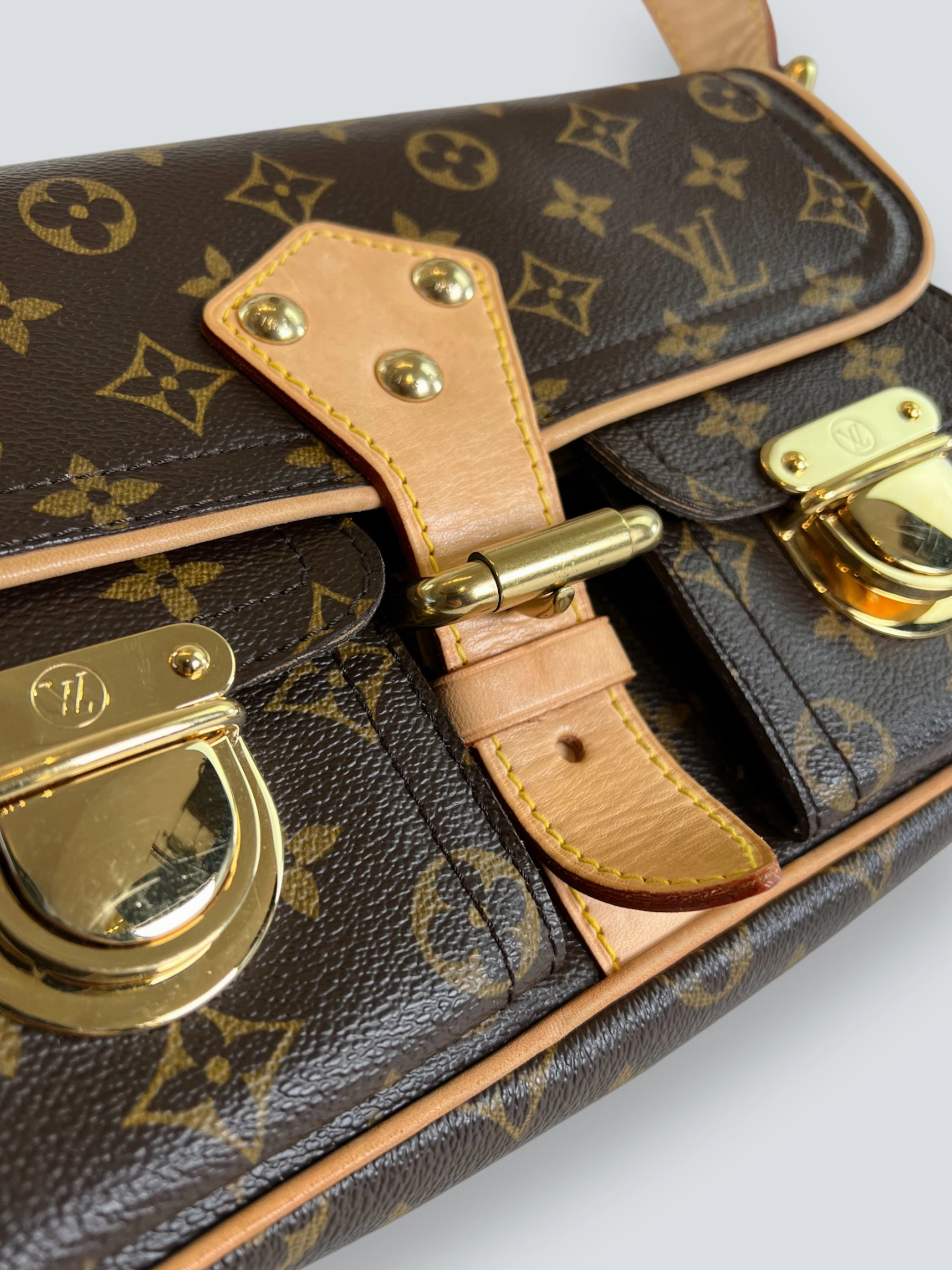 Louis Vuitton Monogram Canvas & Leather Hudson Shoulder Bag