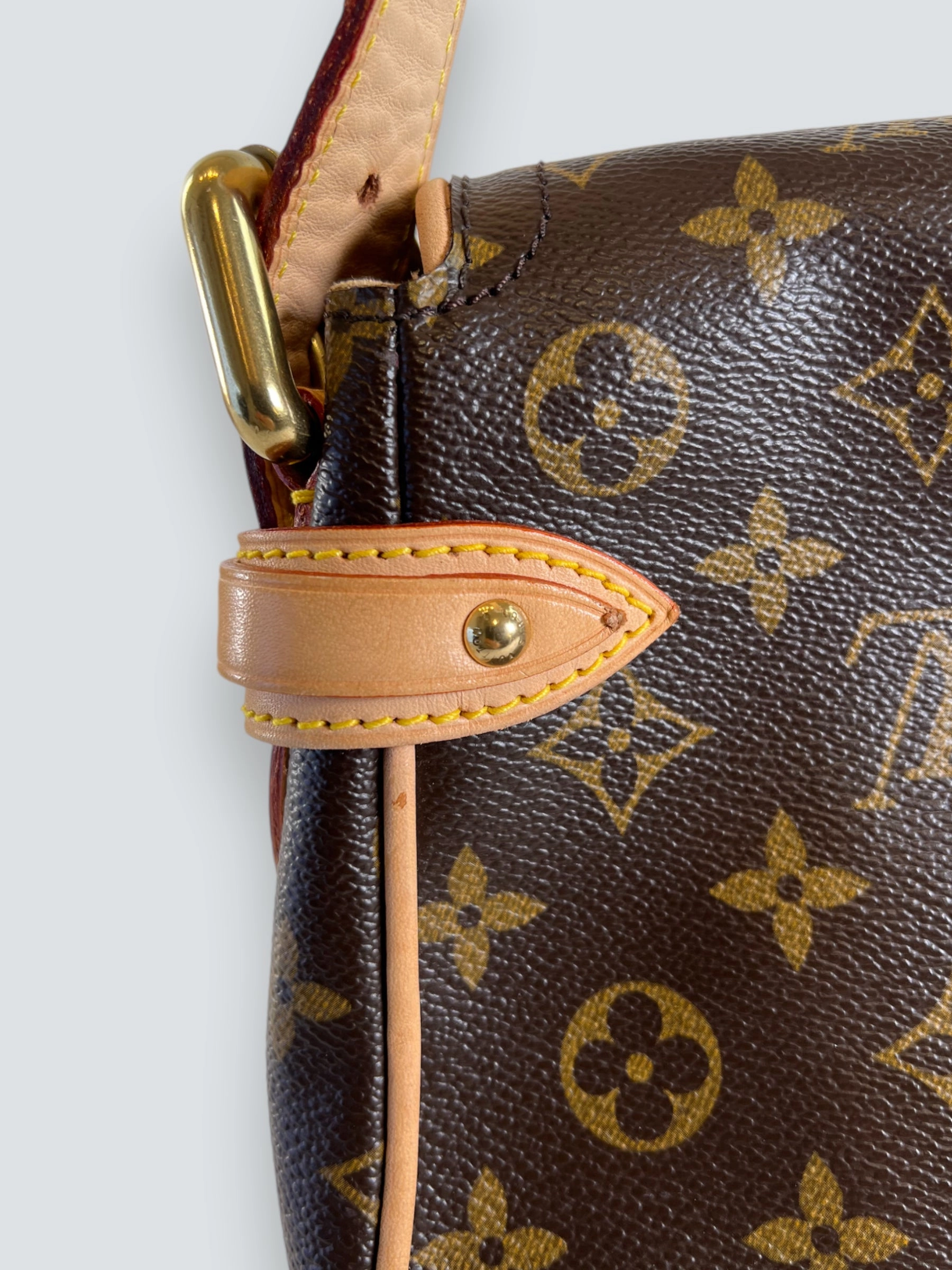 Louis Vuitton Monogram Canvas & Leather Hudson Shoulder Bag