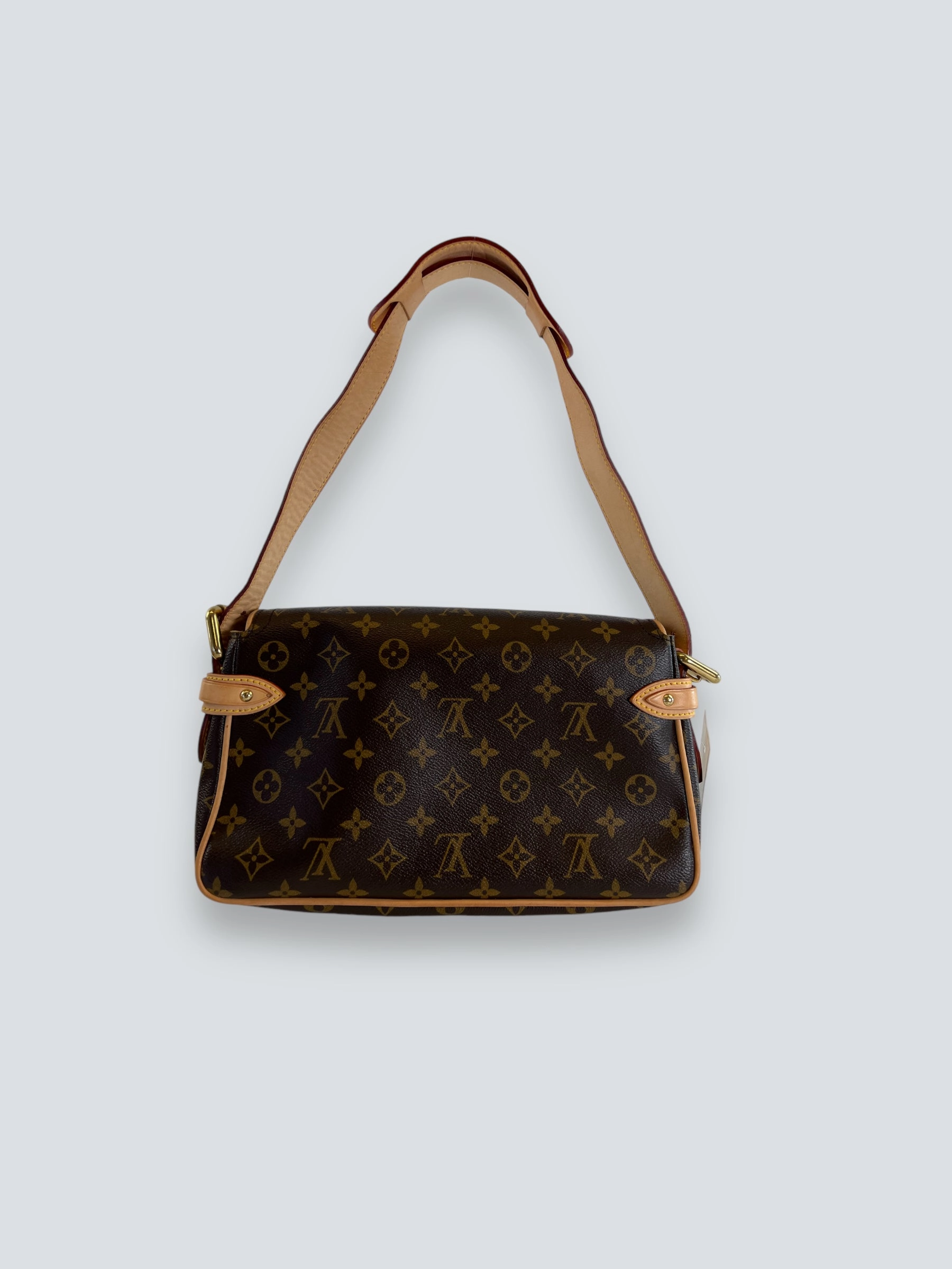 Louis Vuitton Monogram Canvas & Leather Hudson Shoulder Bag