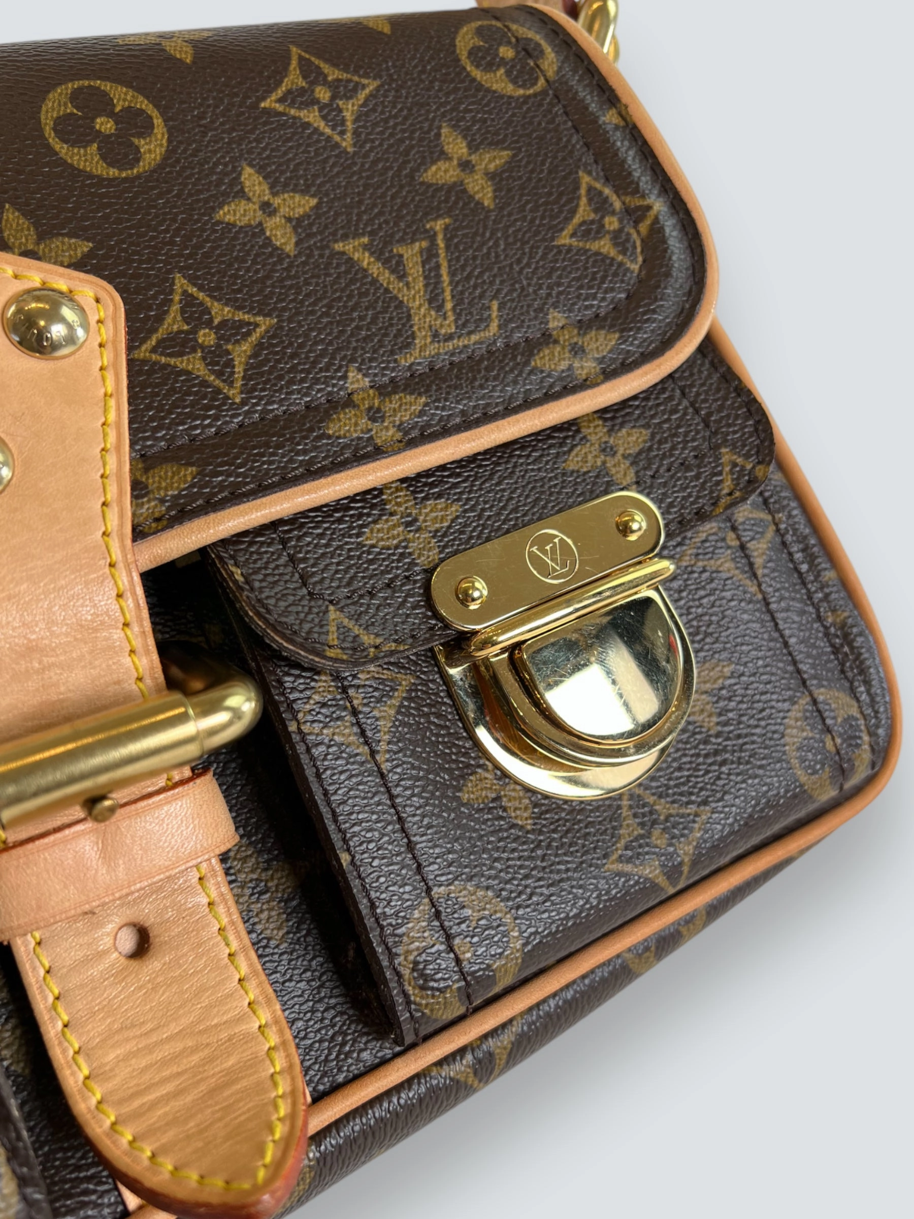 Louis Vuitton Monogram Canvas & Leather Hudson Shoulder Bag