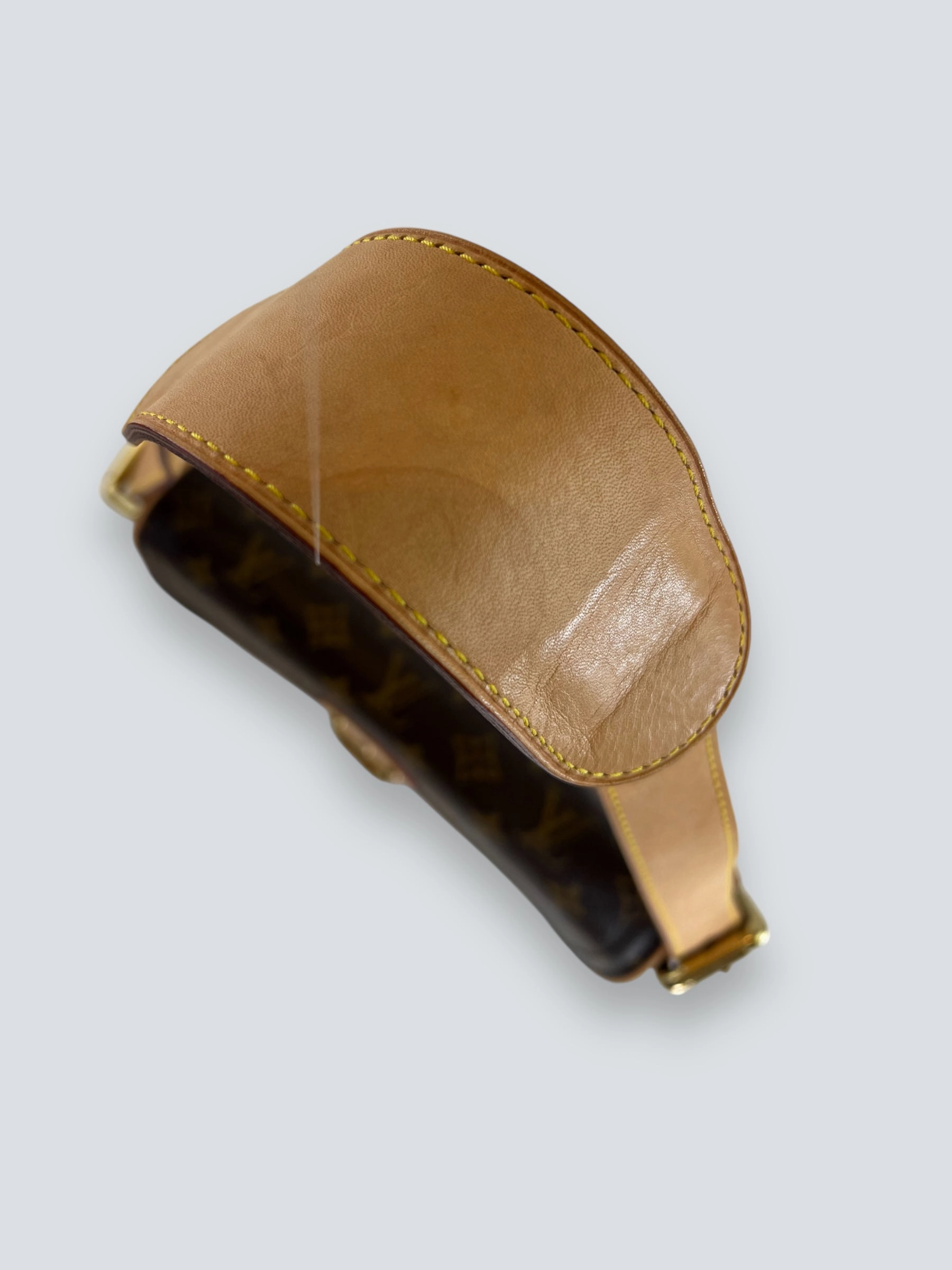 Louis Vuitton Monogram Canvas & Leather Hudson Shoulder Bag