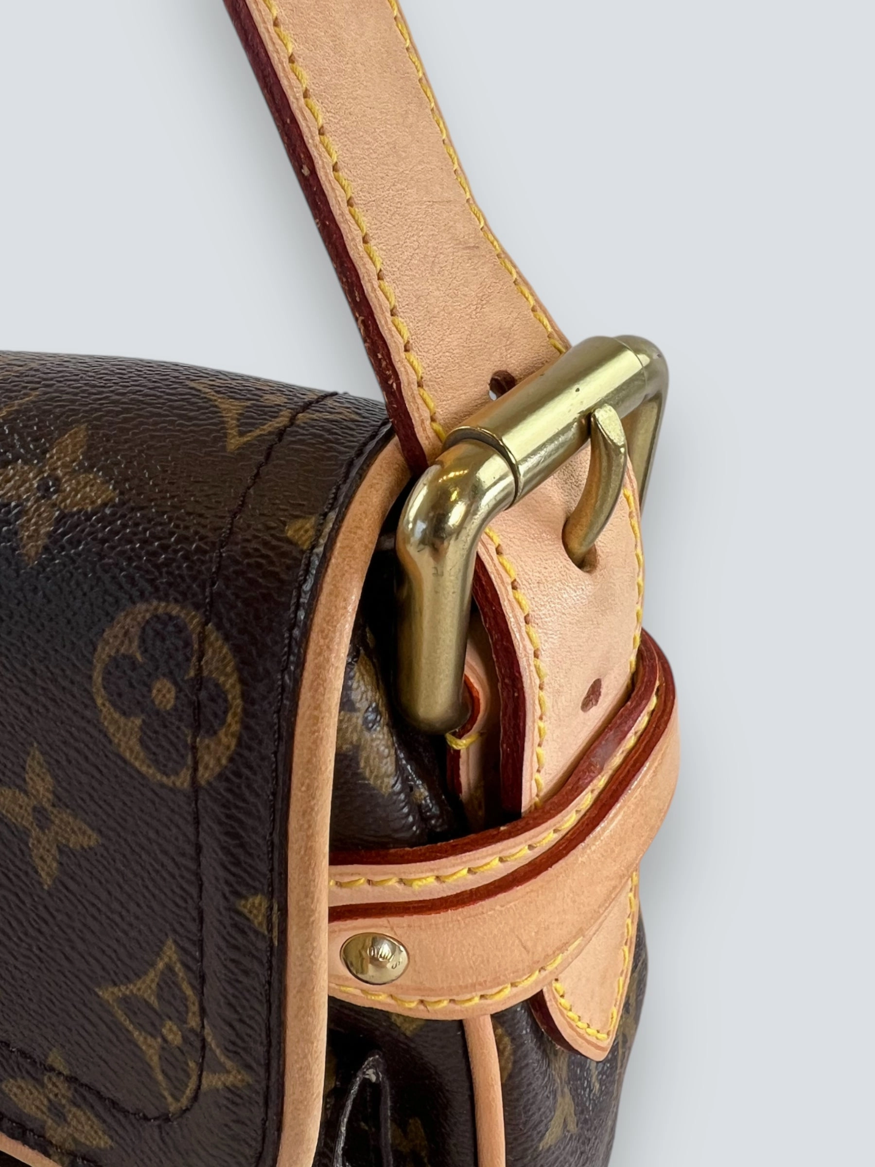 Louis Vuitton Monogram Canvas & Leather Hudson Shoulder Bag