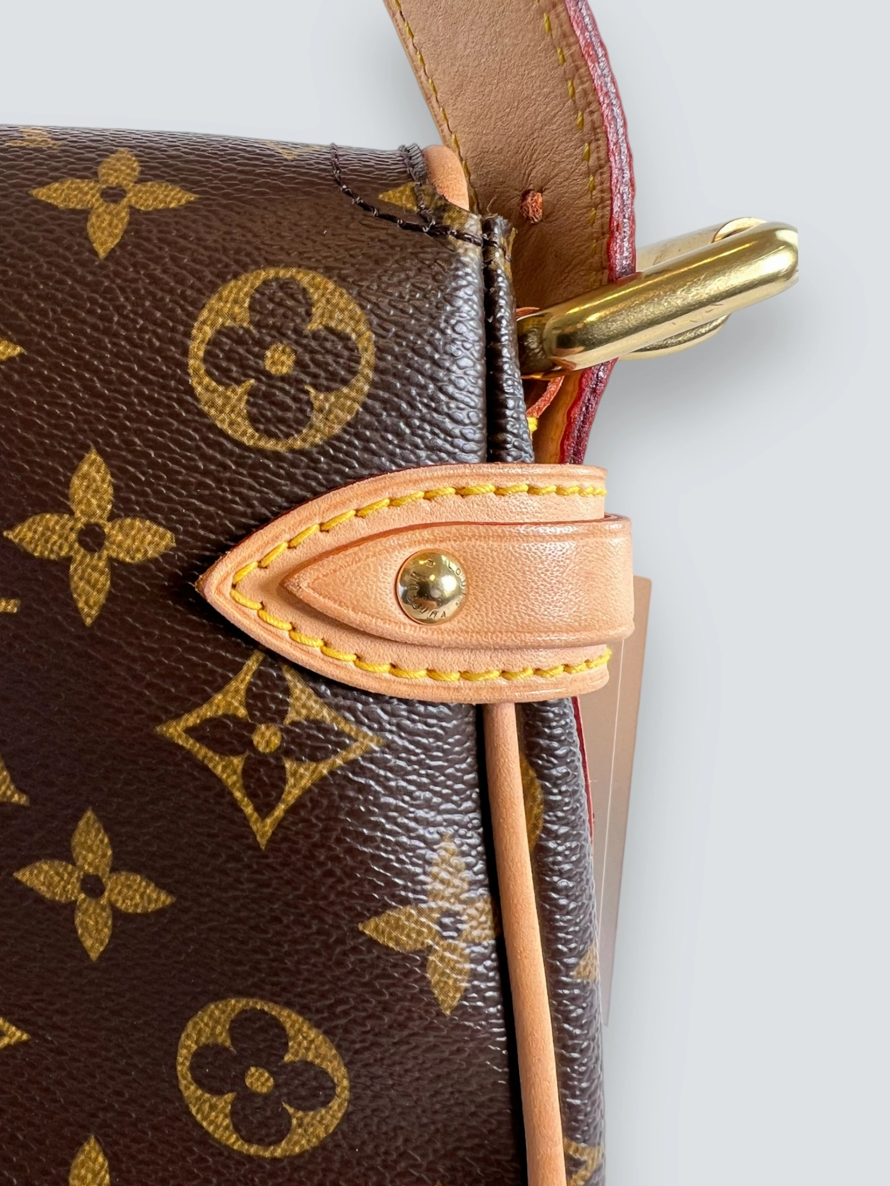 Louis Vuitton Monogram Canvas & Leather Hudson Shoulder Bag
