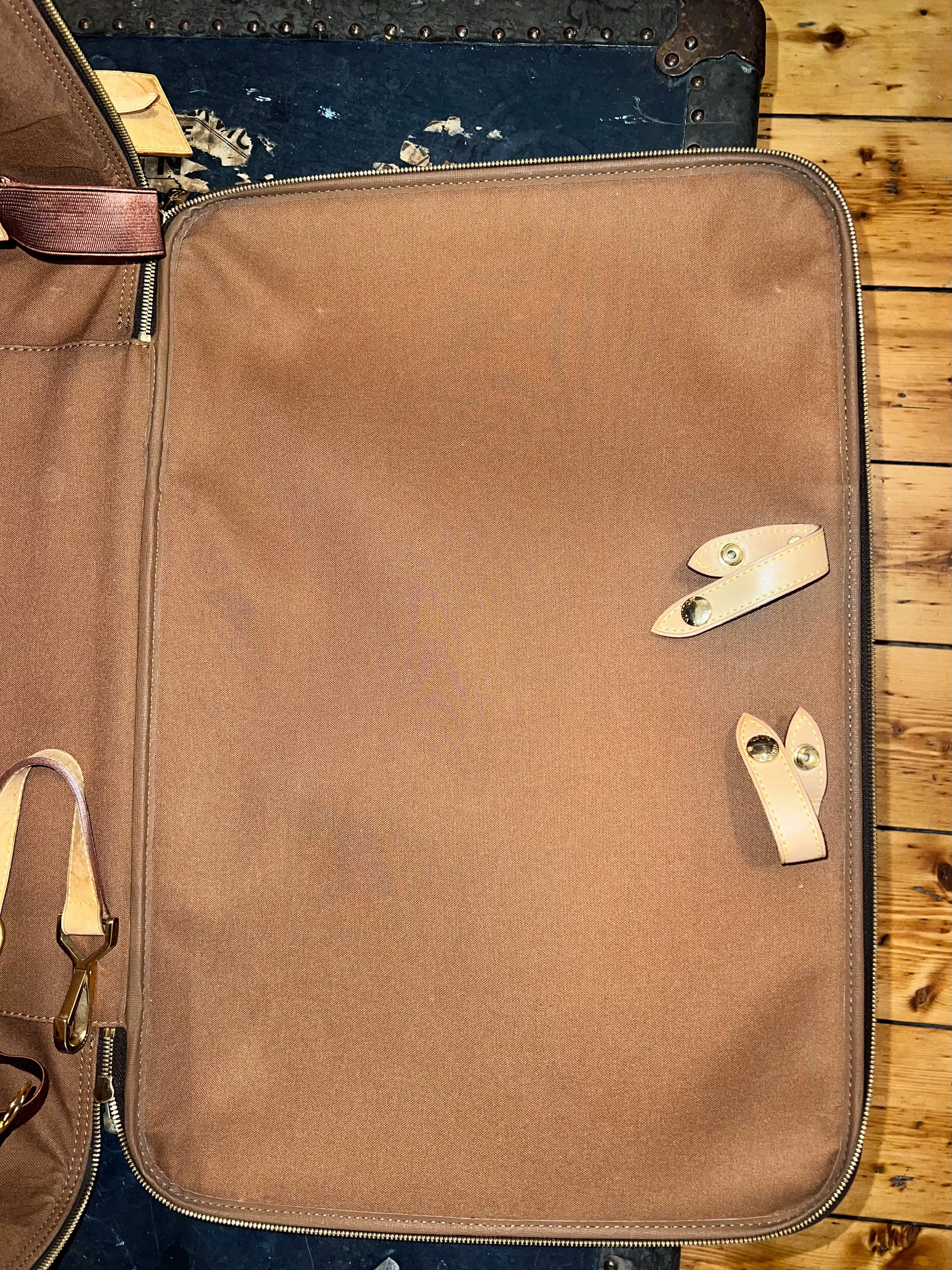 Louis Vuitton Monogram Canvas & Leather Pegase 55 Suitcase