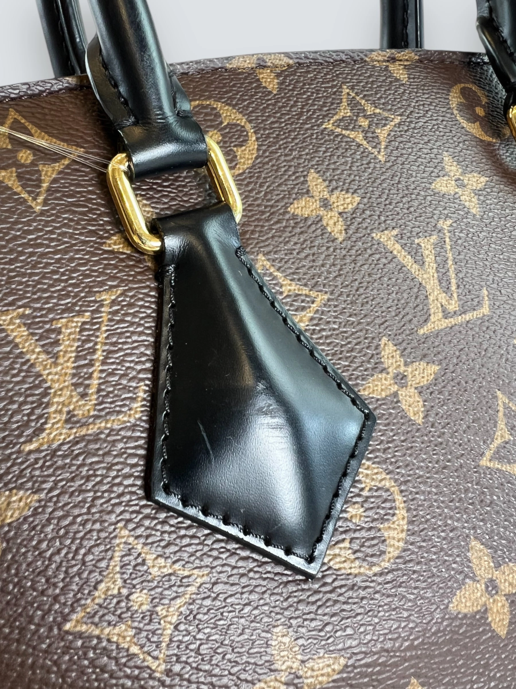 Louis Vuitton Monogram Canvas & Leather Phoenix Tote