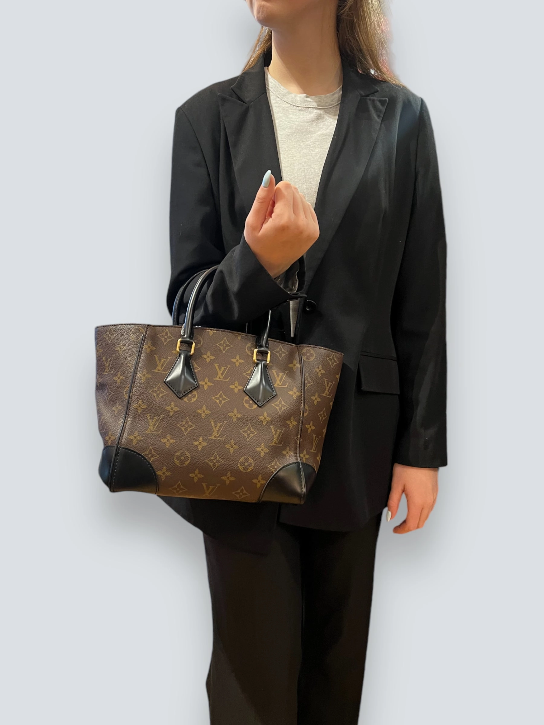 Louis Vuitton Monogram Canvas & Leather Phoenix Tote