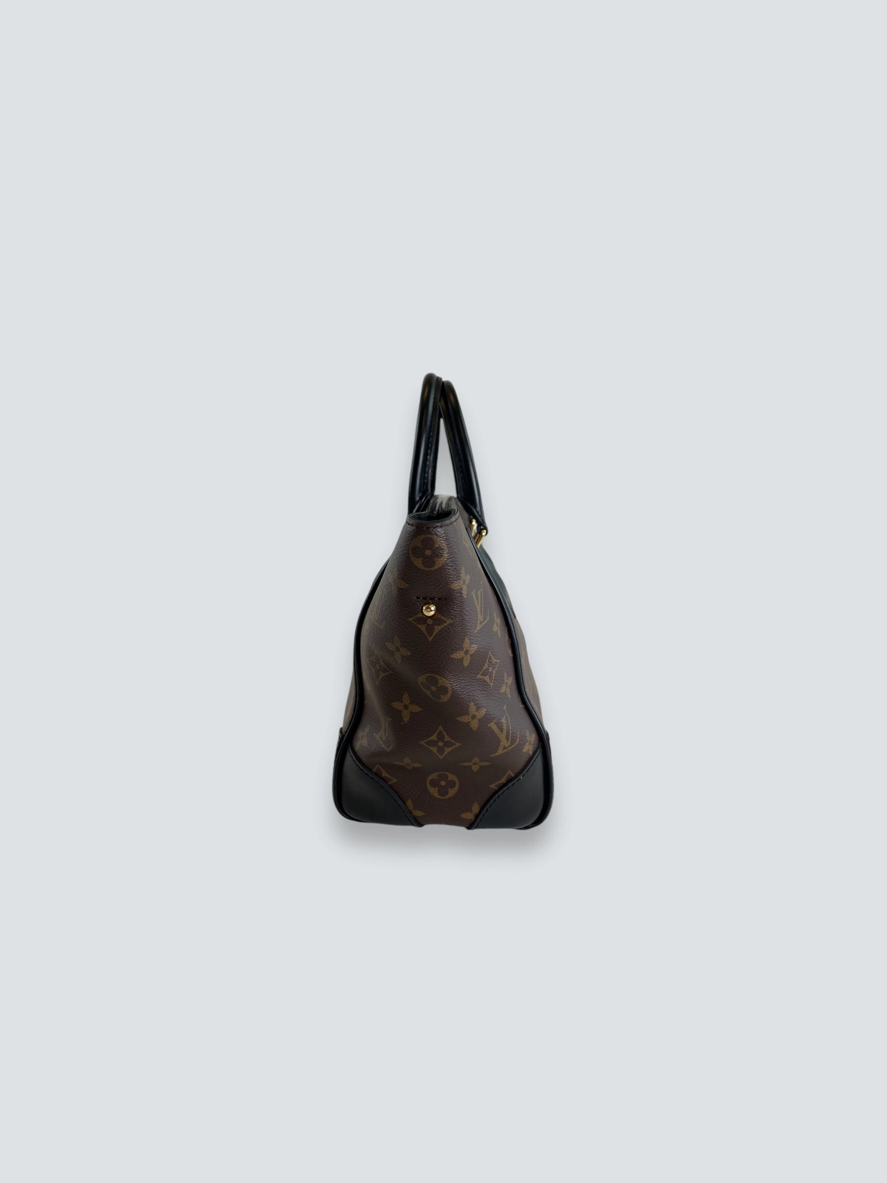 Louis Vuitton Monogram Canvas & Leather Phoenix Tote