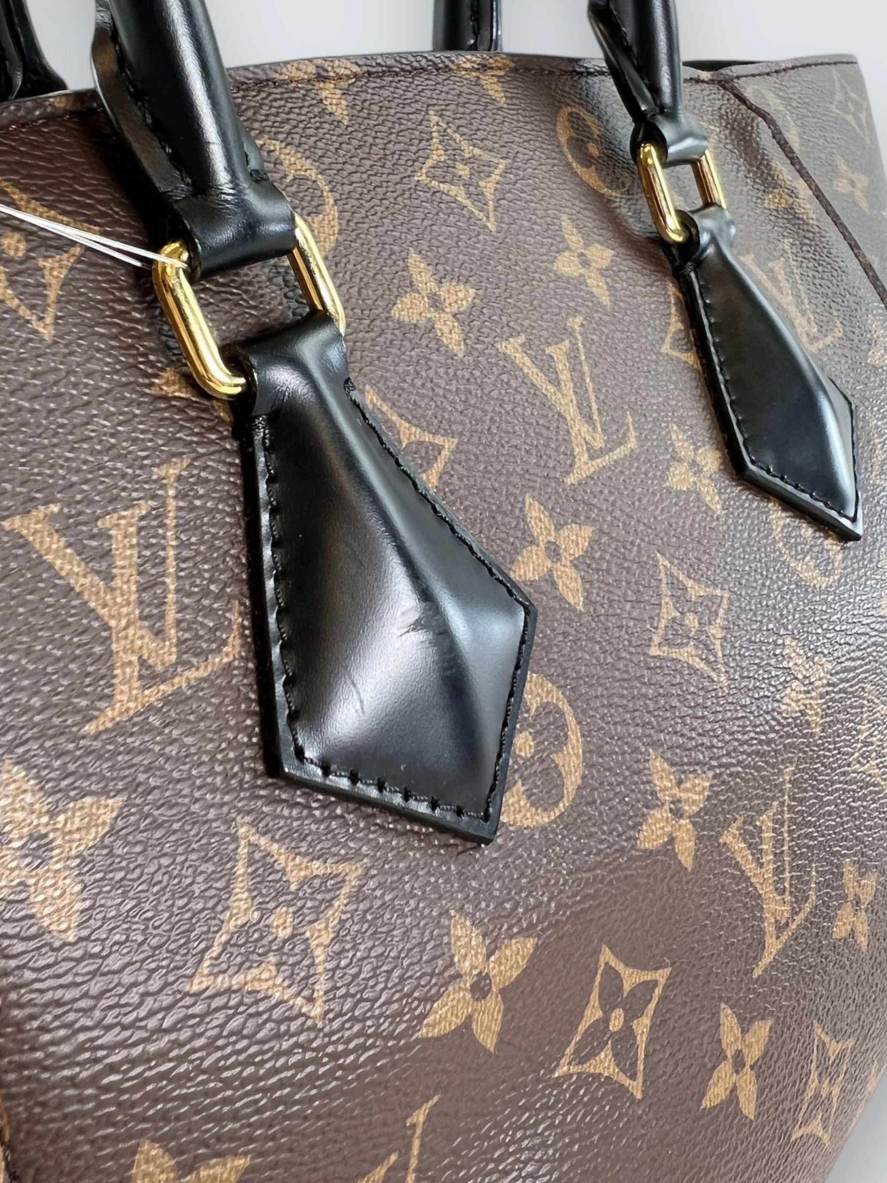 Louis Vuitton Monogram Canvas & Leather Phoenix Tote