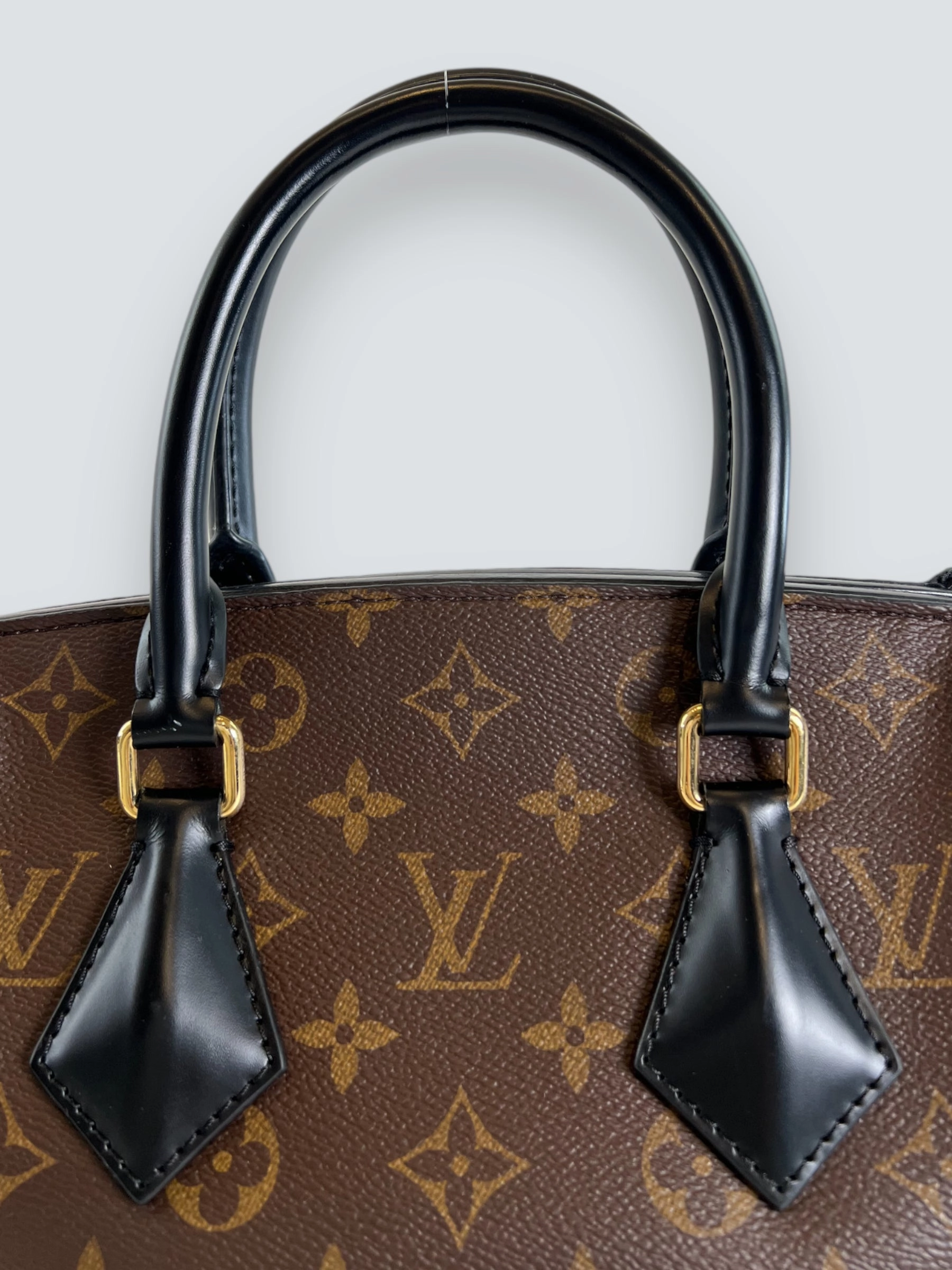 Louis Vuitton Monogram Canvas & Leather Phoenix Tote