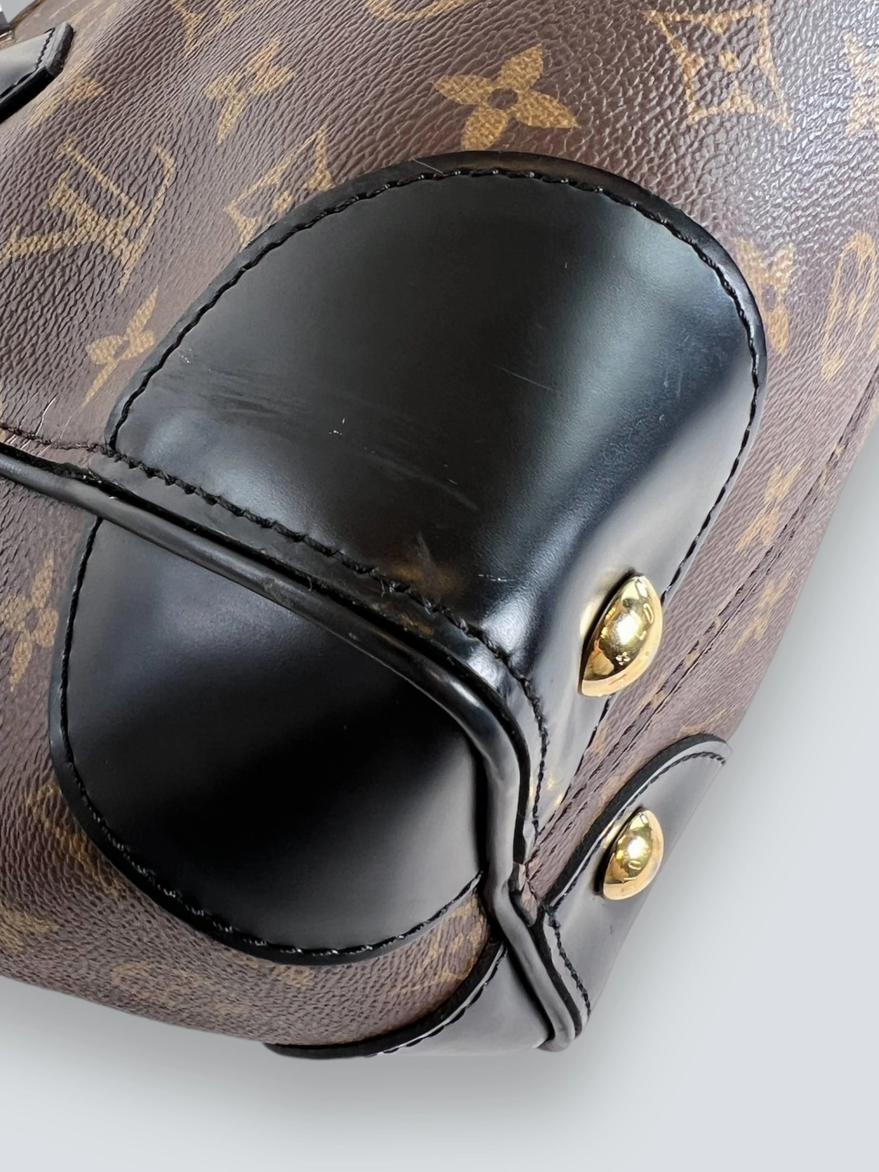 Louis Vuitton Monogram Canvas & Leather Phoenix Tote