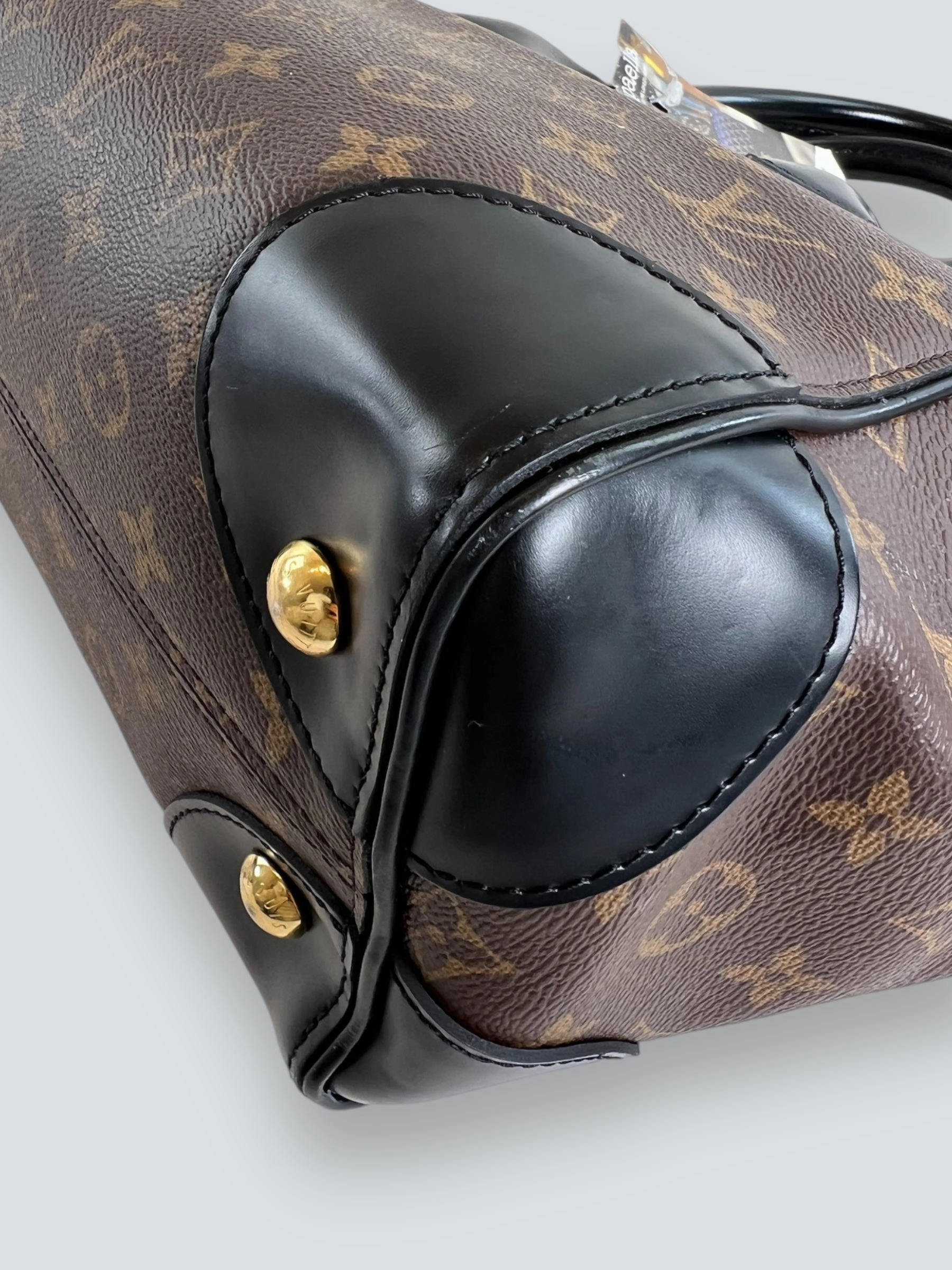 Louis Vuitton Monogram Canvas & Leather Phoenix Tote