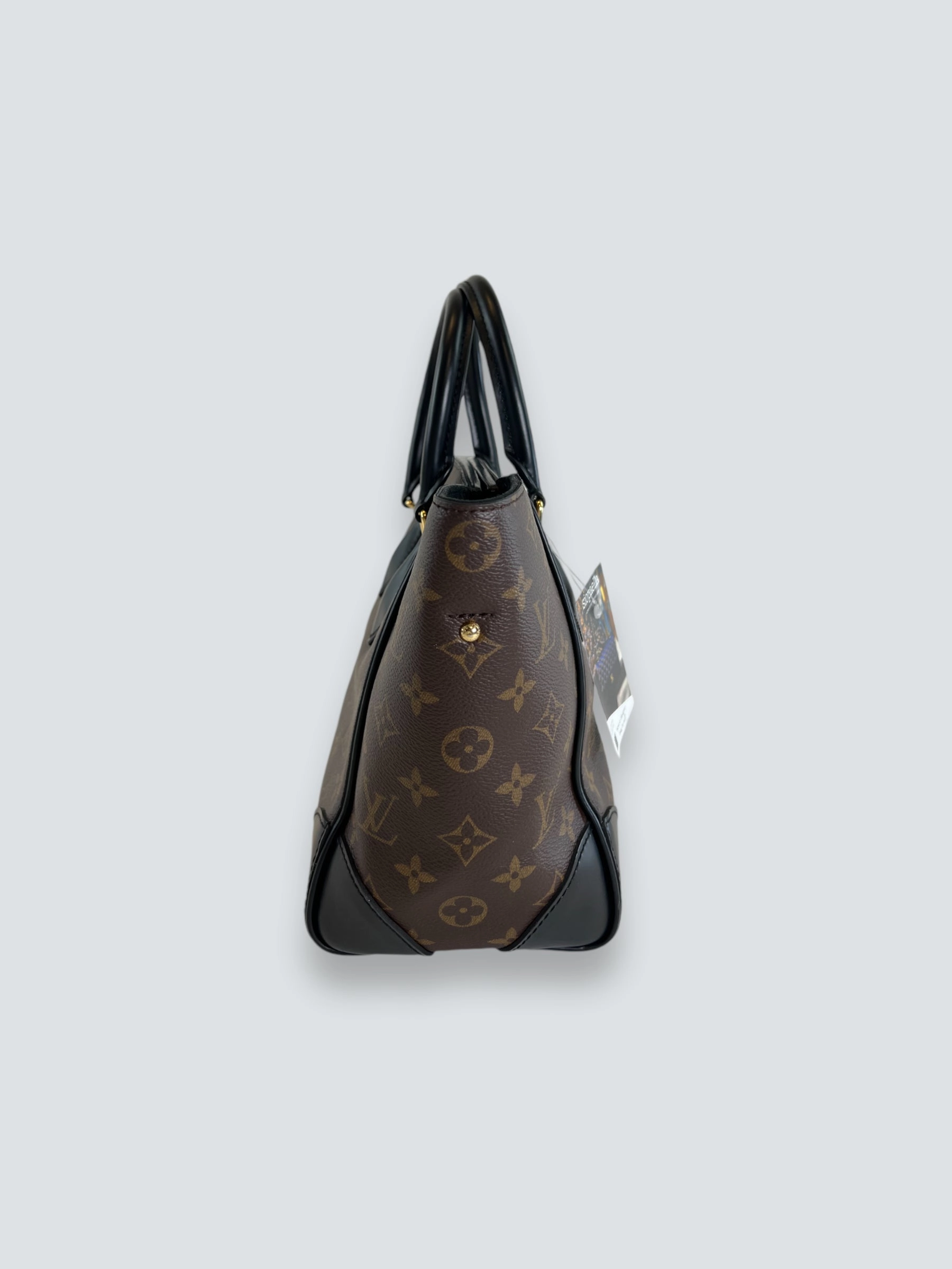 Louis Vuitton Monogram Canvas & Leather Phoenix Tote