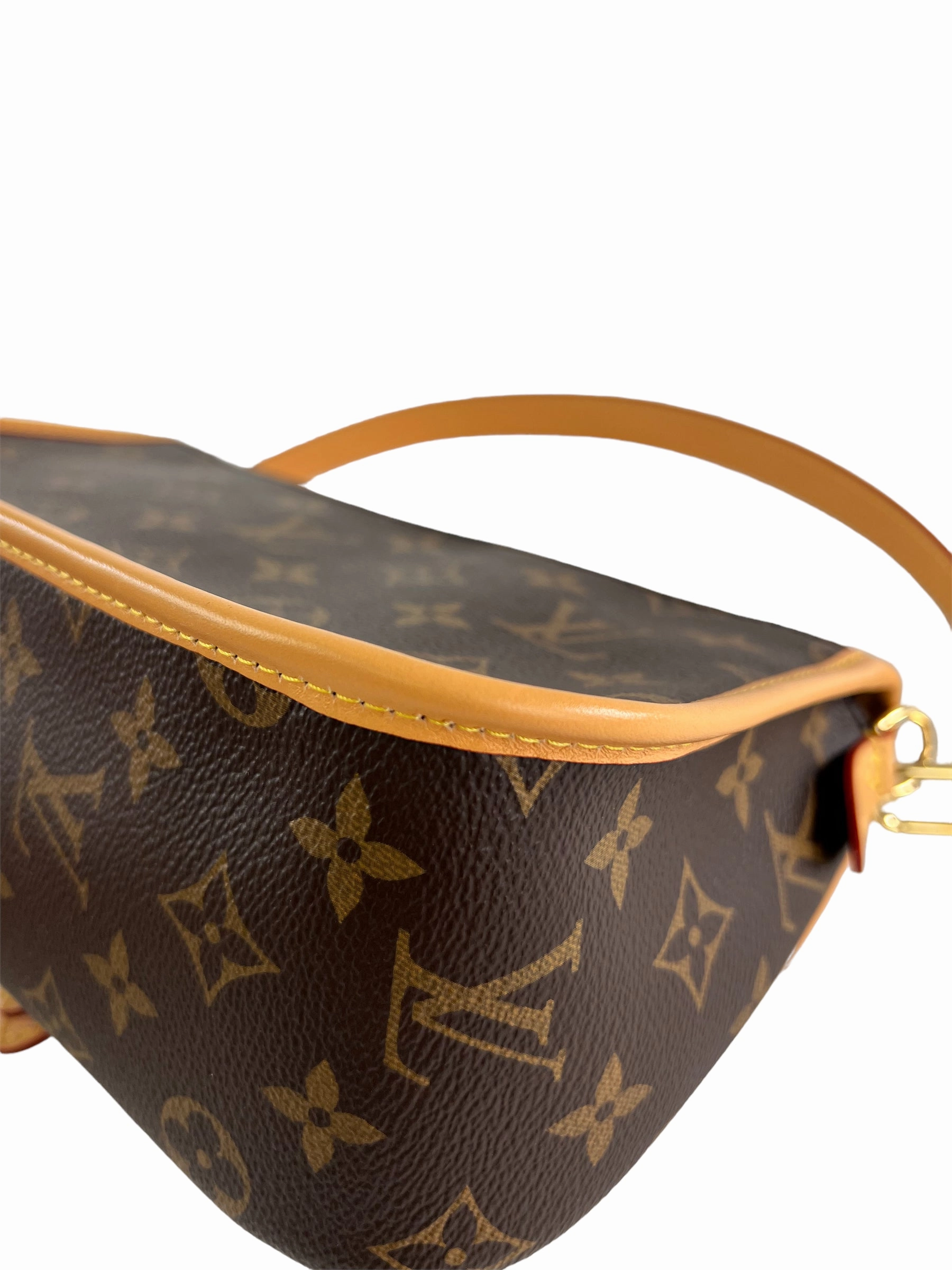 Louis Vuitton Monogram Canvas Diane Crossbody