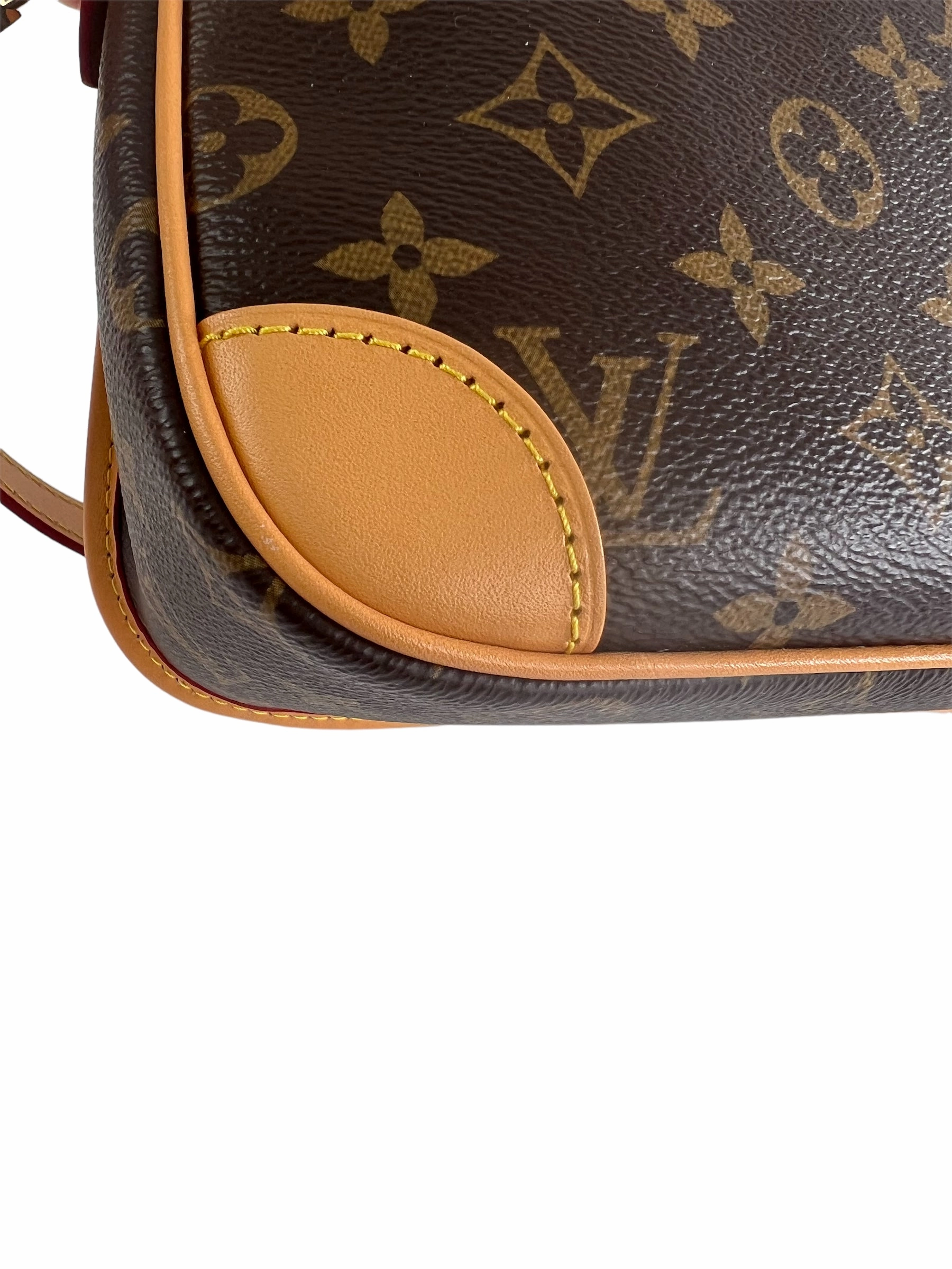 Louis Vuitton Monogram Canvas Diane Crossbody