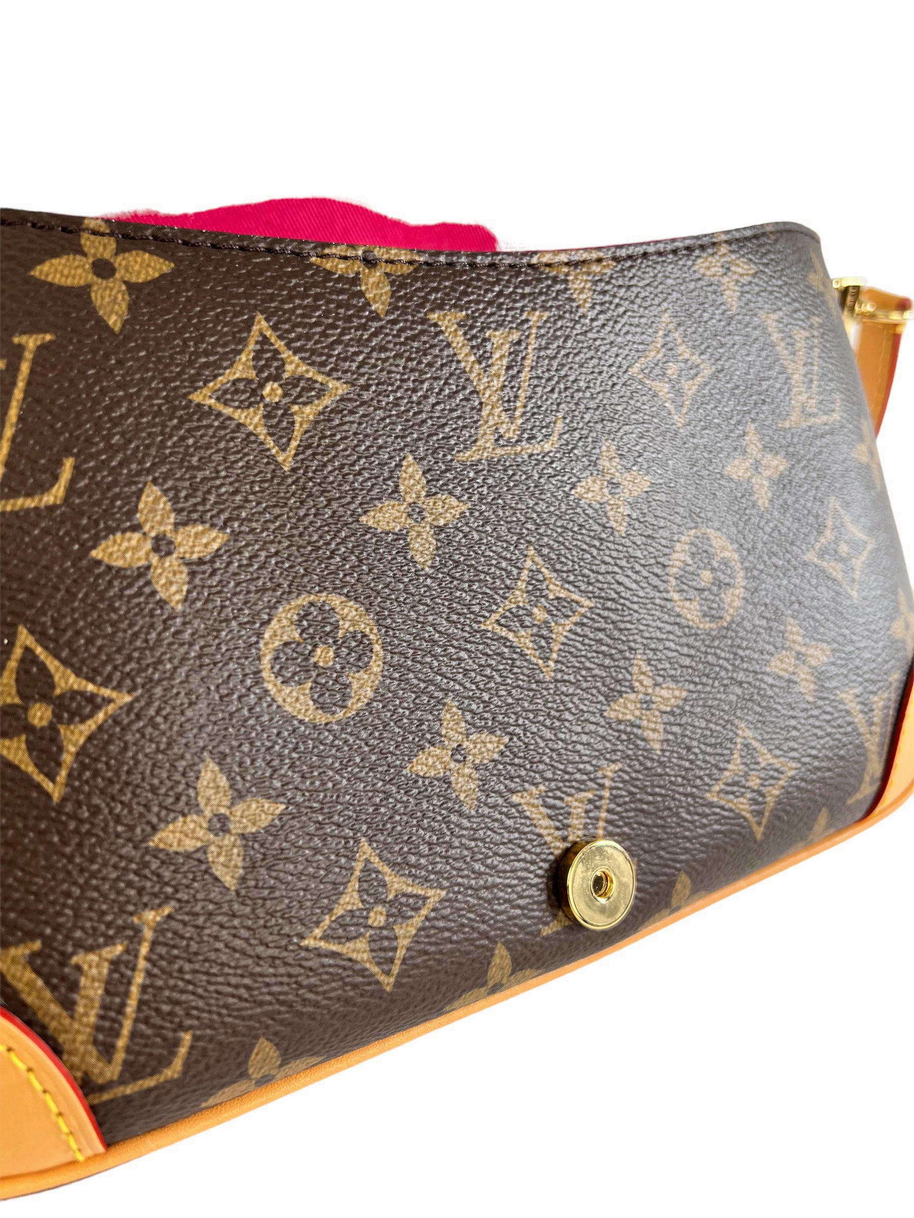 Louis Vuitton Monogram Canvas Diane Crossbody