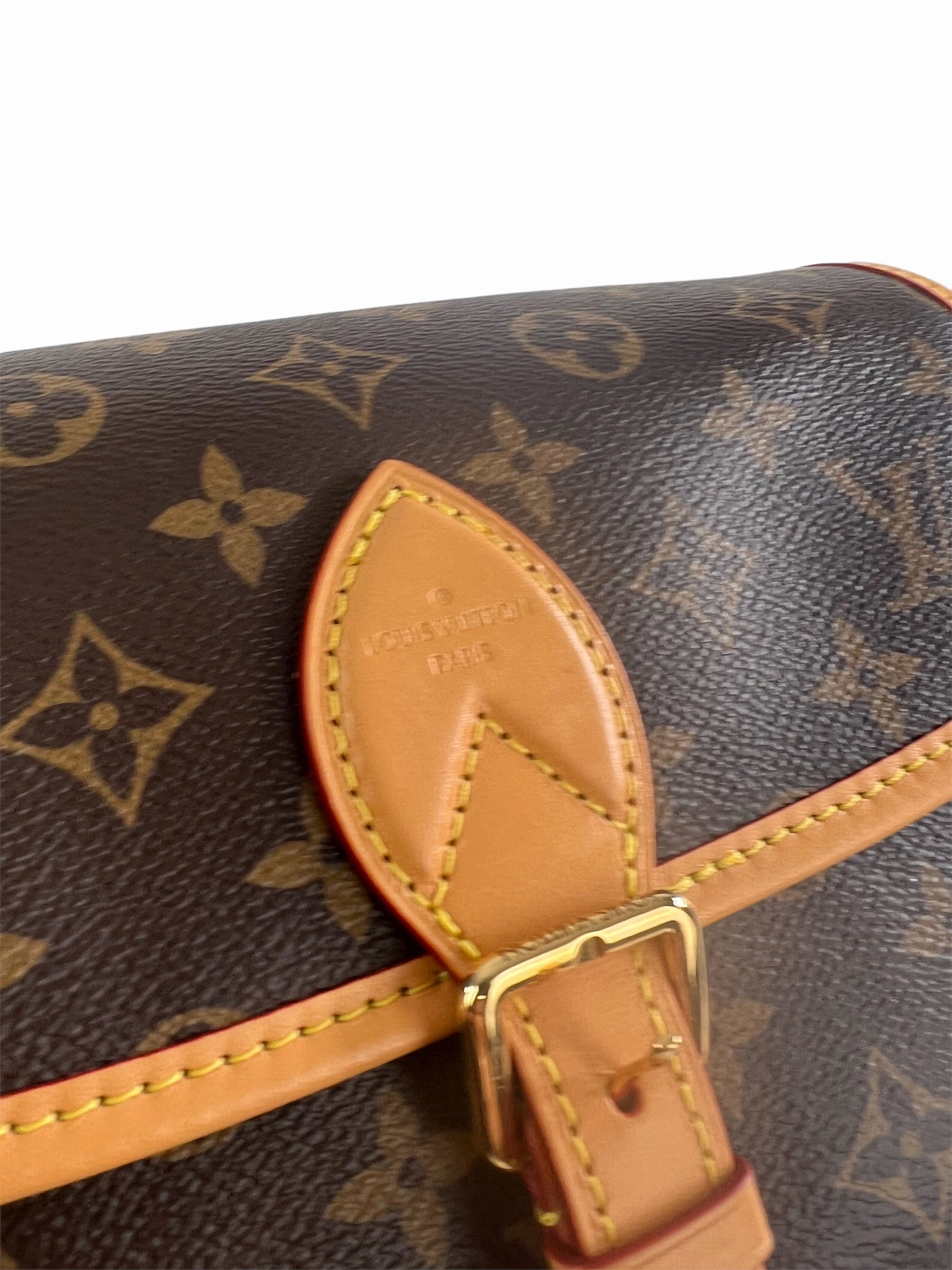 Louis Vuitton Monogram Canvas Diane Crossbody
