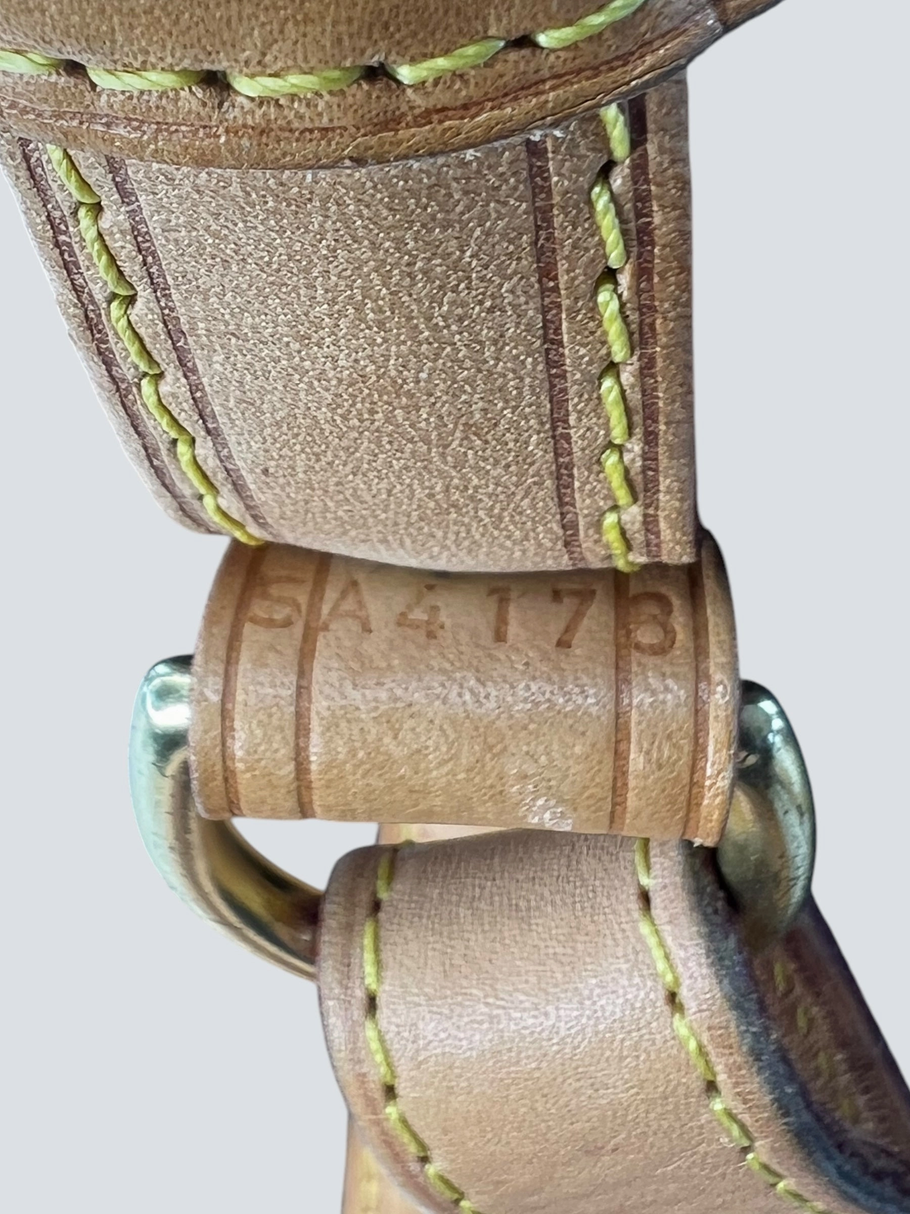 Louis Vuitton Monogram Canvas Loop Crossbody