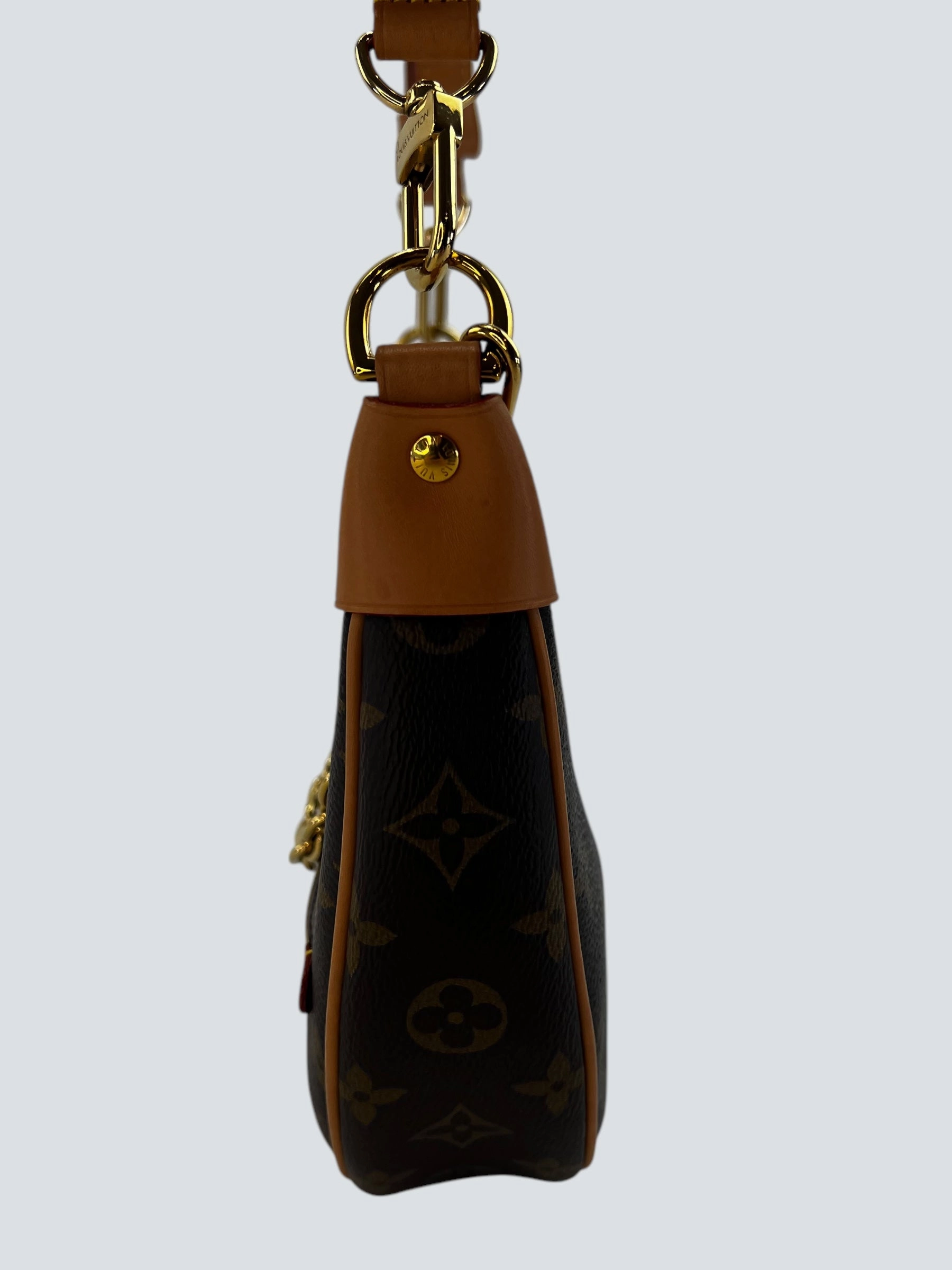 Louis Vuitton Monogram Canvas Loop Crossbody