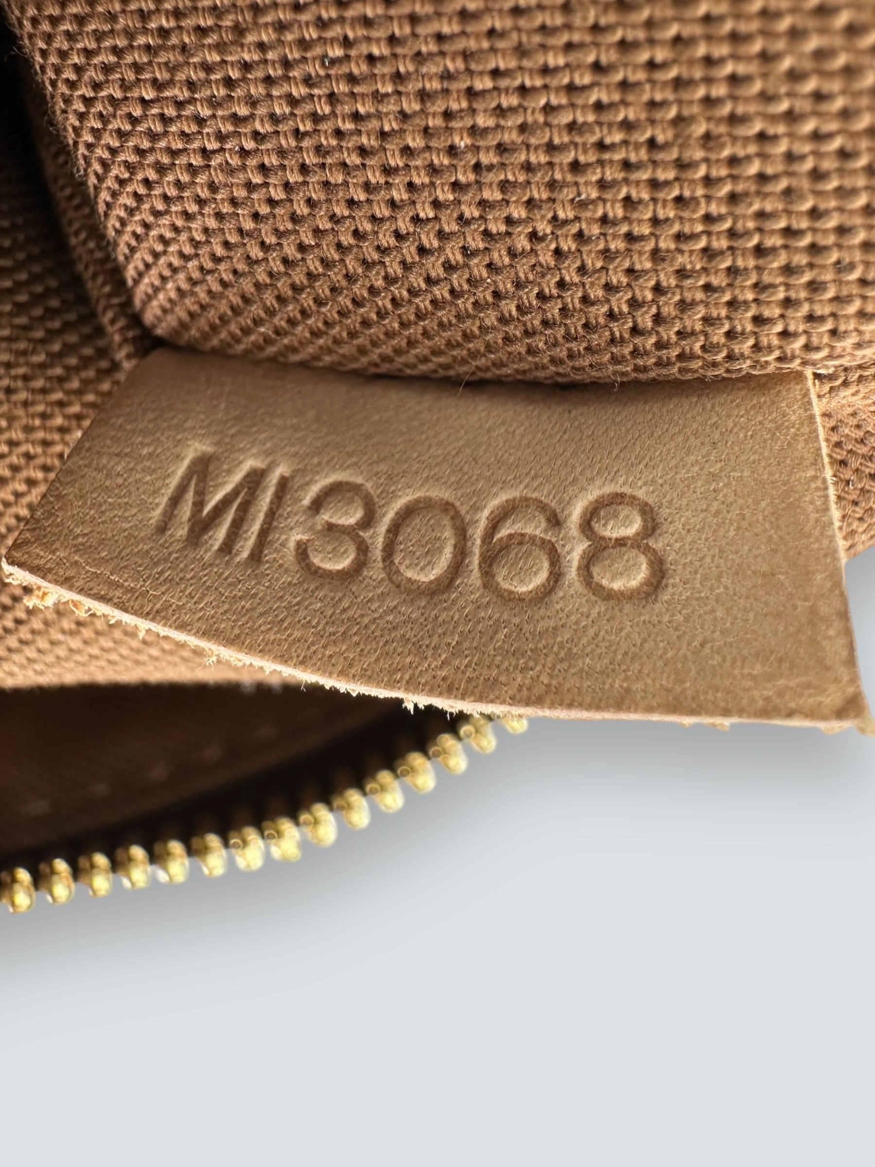 Louis Vuitton Monogram Canvas Palermo GM