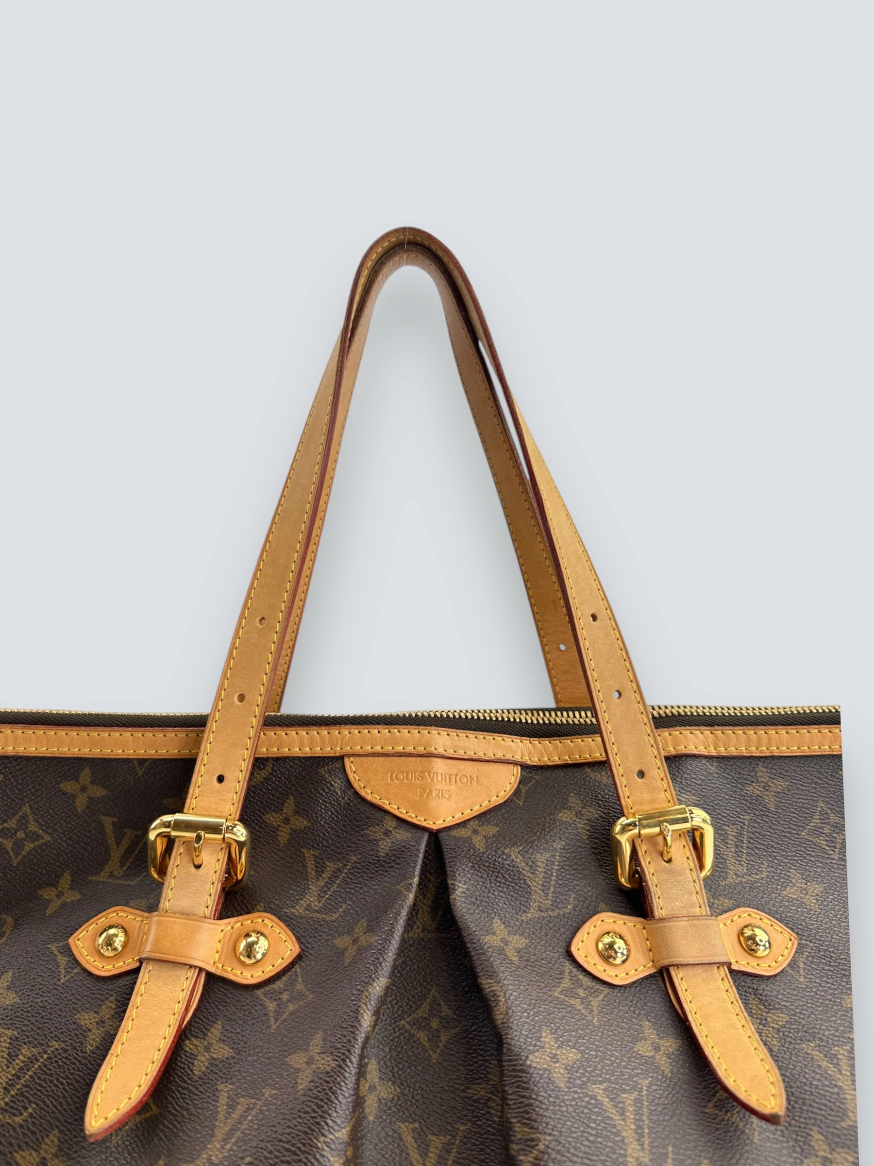 Louis Vuitton Monogram Canvas Palermo GM