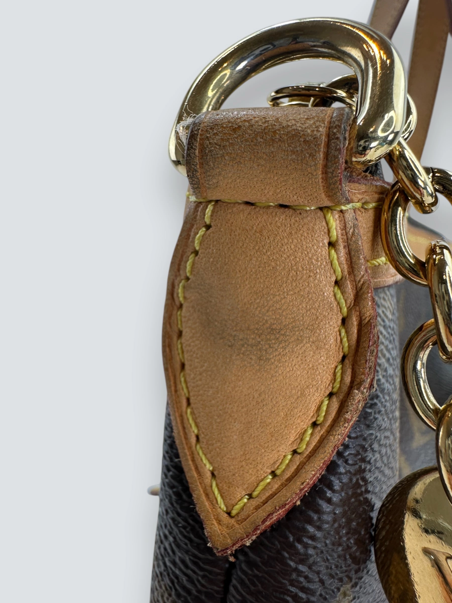 Louis Vuitton Monogram Canvas Palermo GM