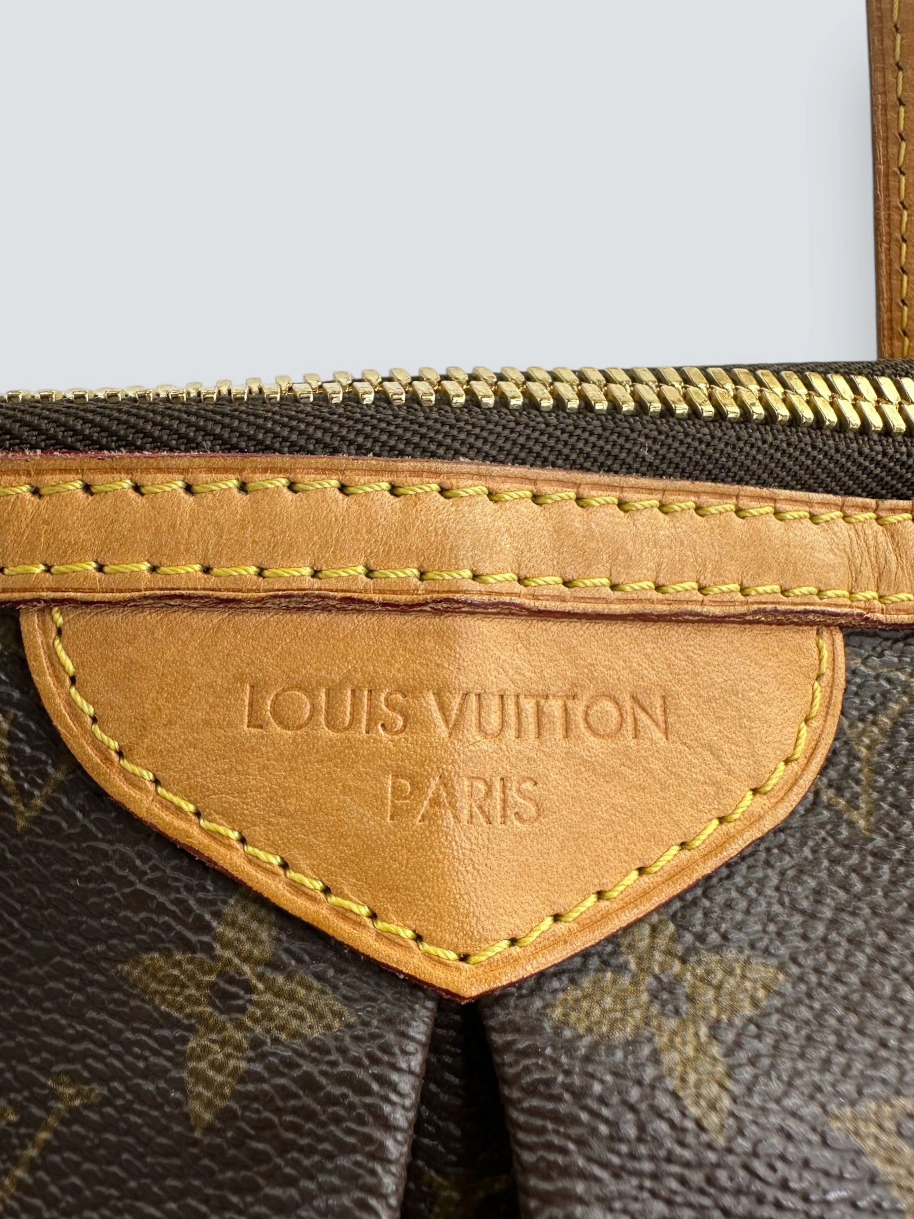 Louis Vuitton Monogram Canvas Palermo GM