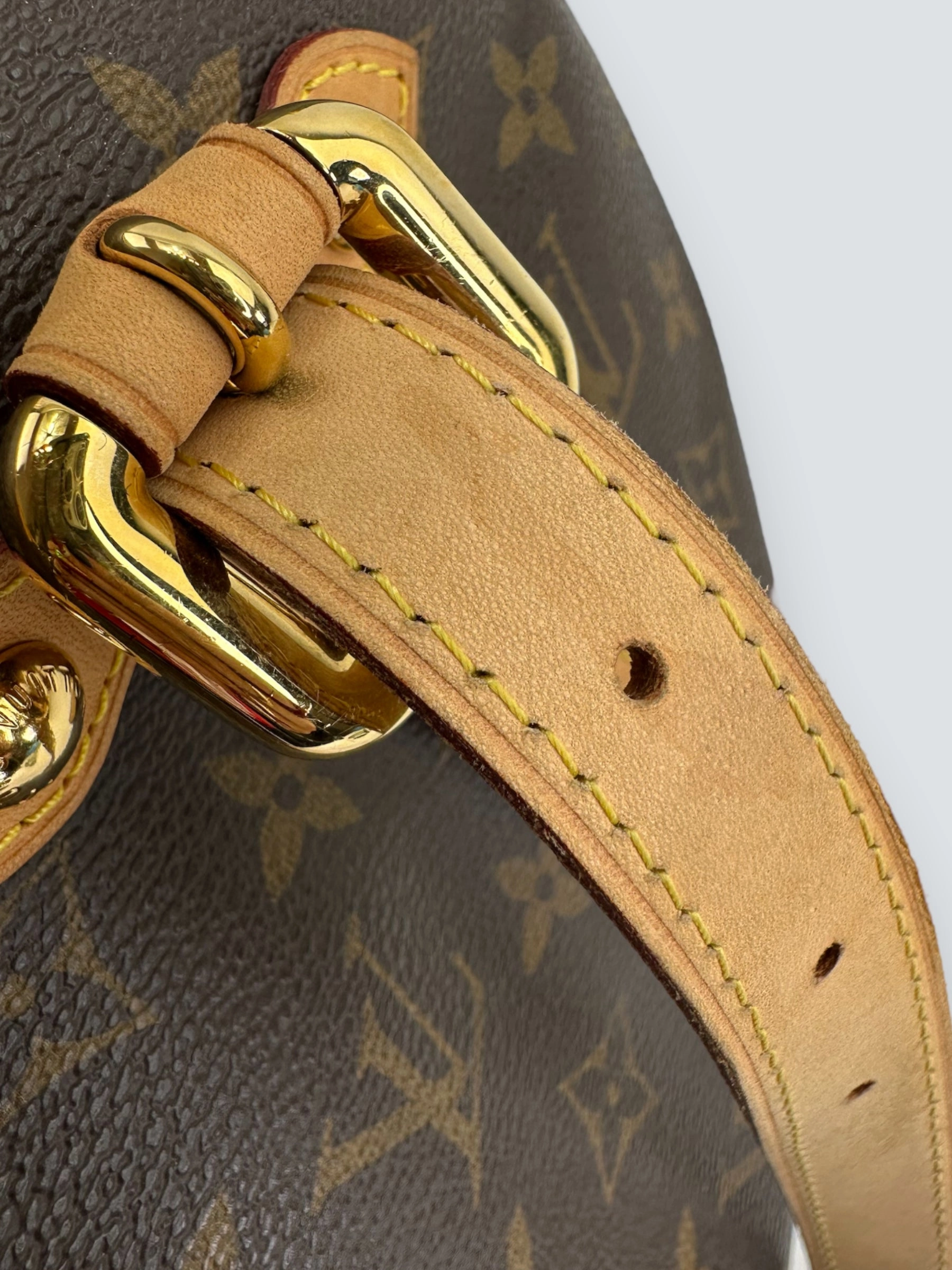 Louis Vuitton Monogram Canvas Palermo GM