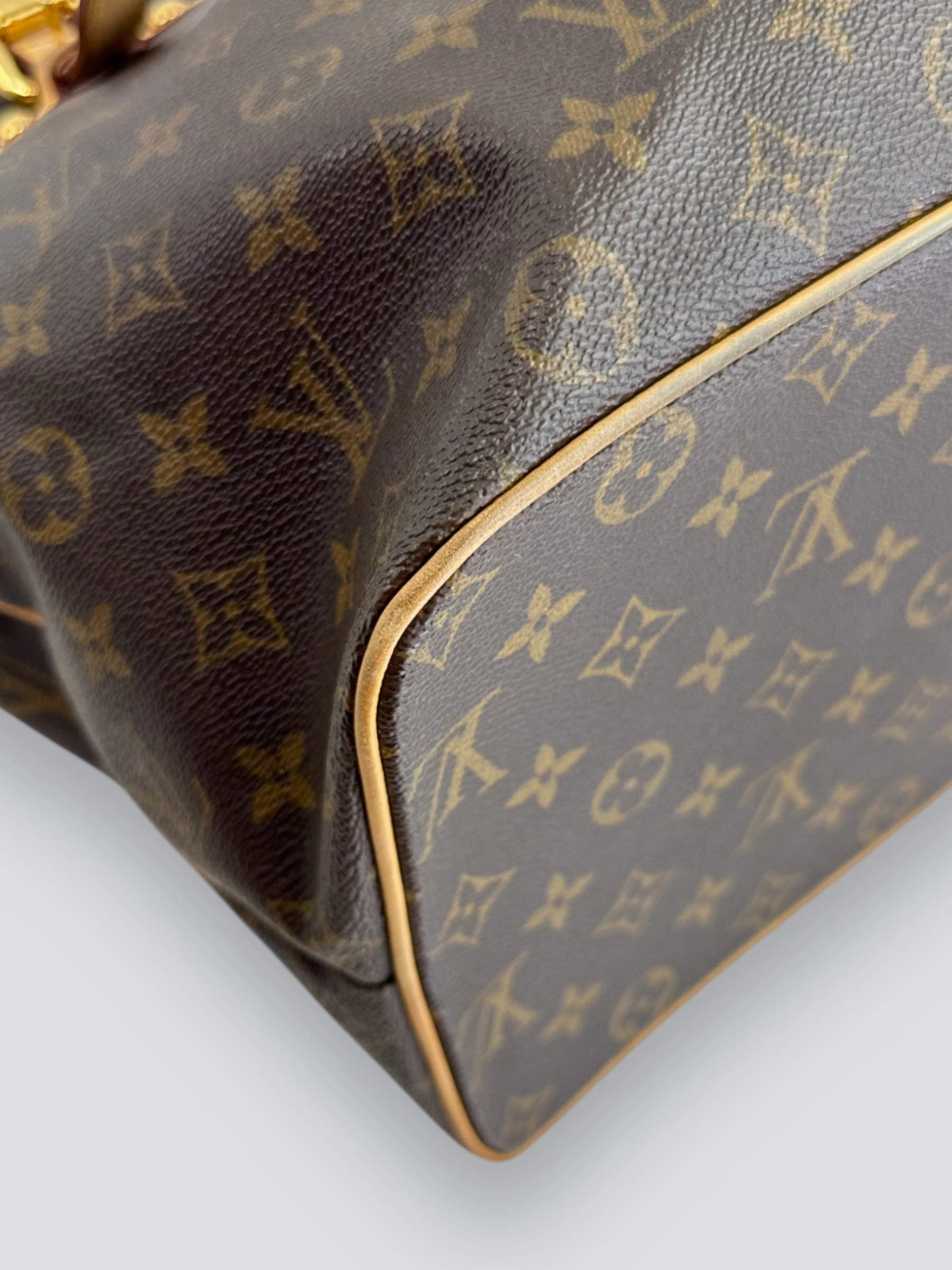 Louis Vuitton Monogram Canvas Palermo GM