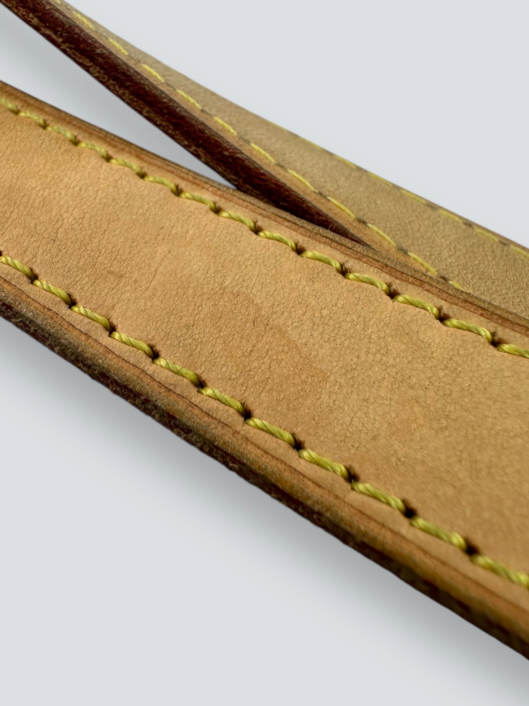 Louis Vuitton Monogram Canvas Palermo GM