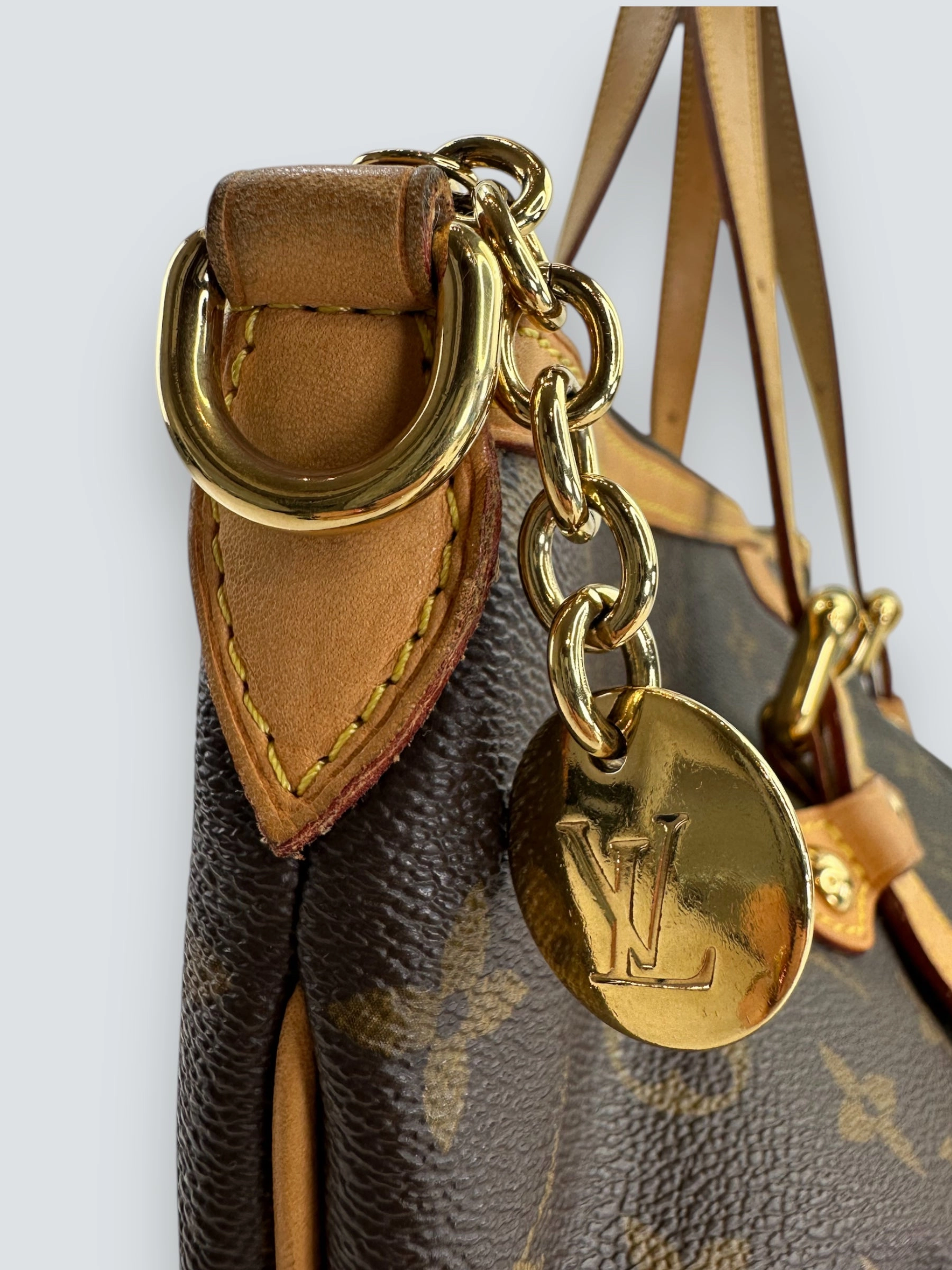Louis Vuitton Monogram Canvas Palermo GM