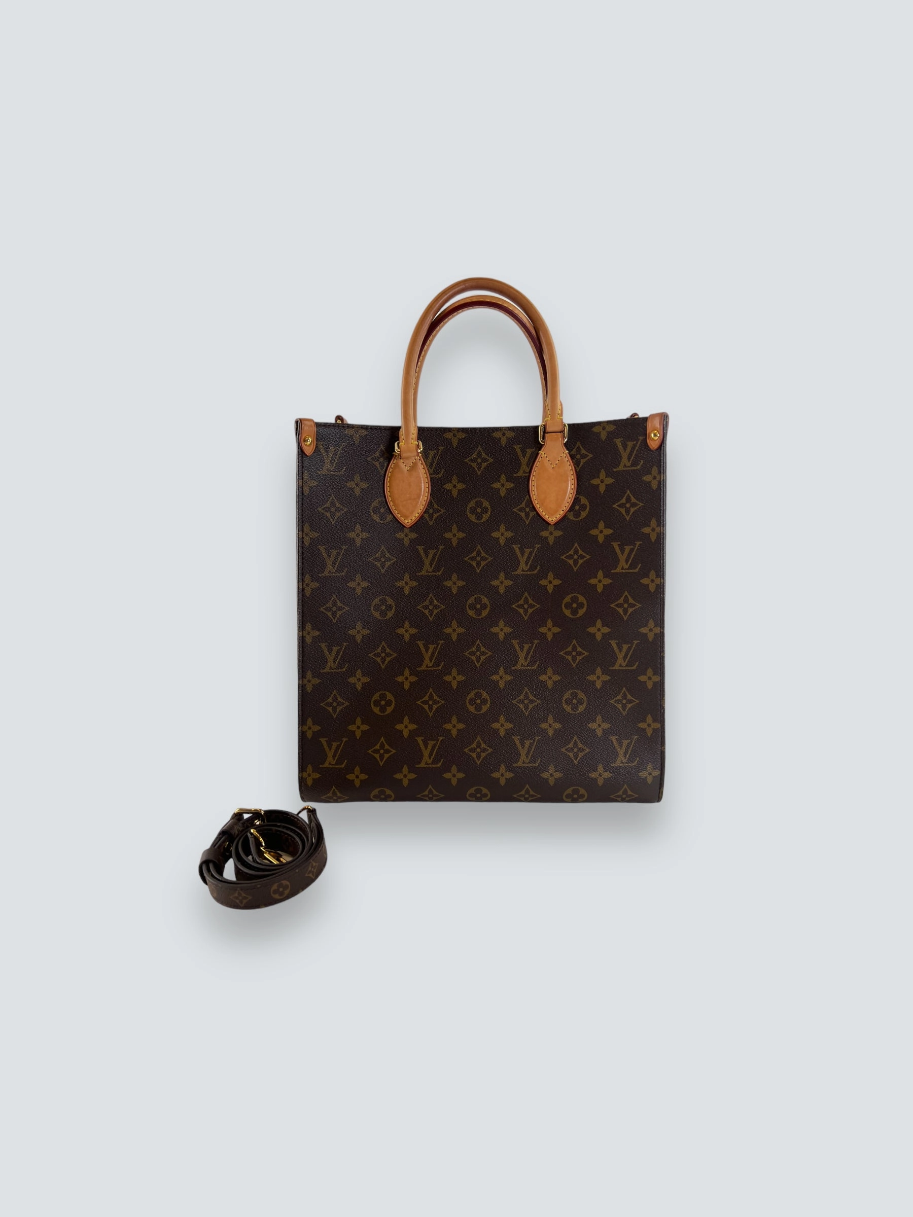 Louis Vuitton Monogram Canvas Sac Plat PM Crossbody