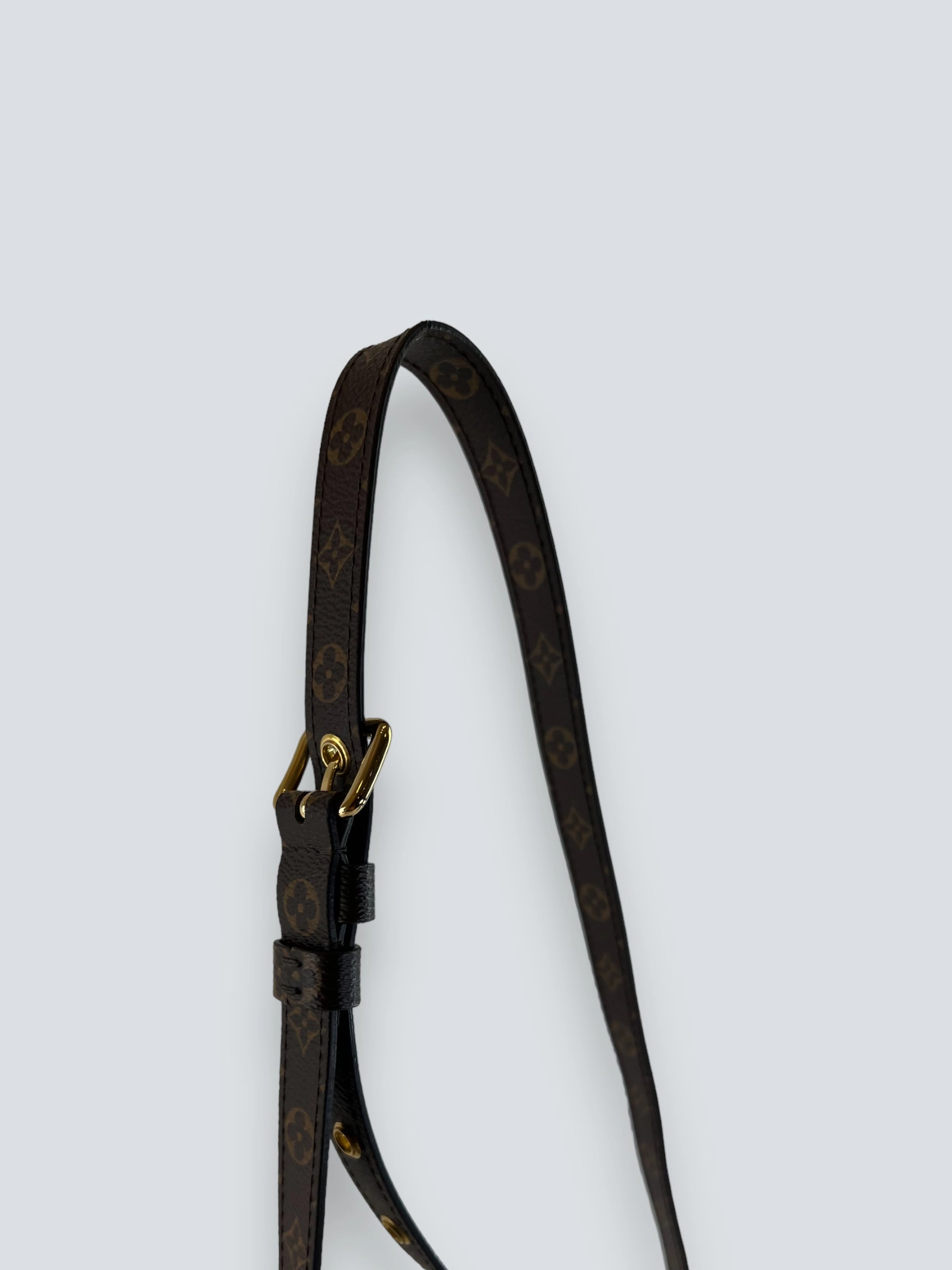 Louis Vuitton Monogram Canvas Sac Plat PM Crossbody