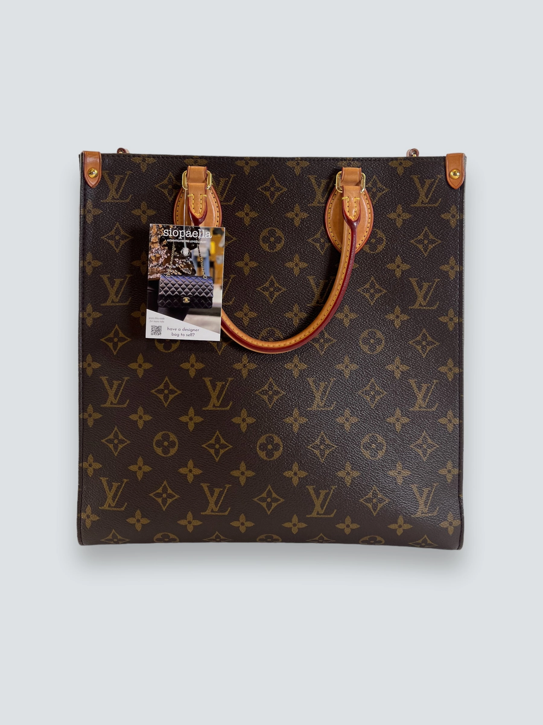 Louis Vuitton Monogram Canvas Sac Plat PM Crossbody