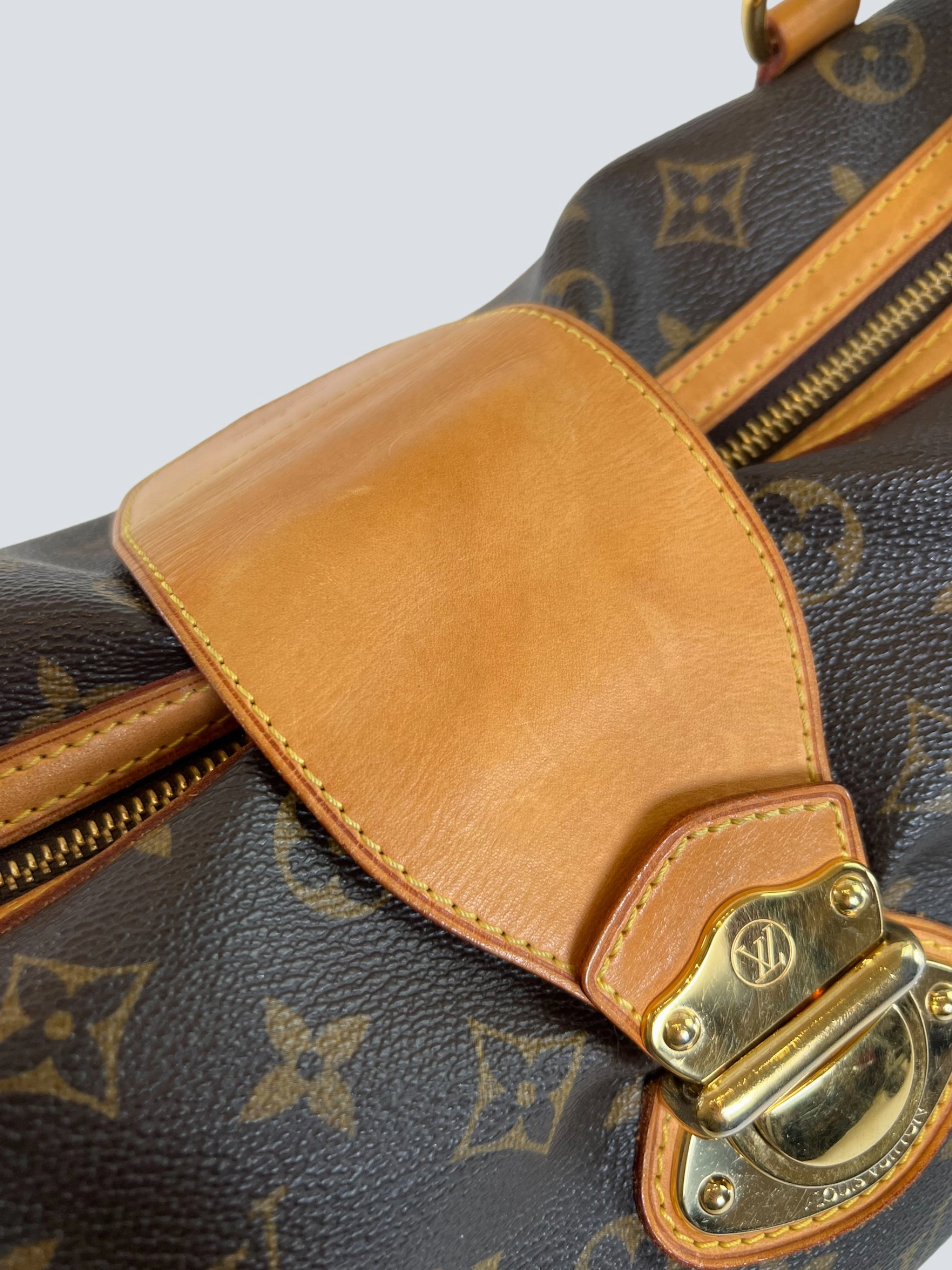 Louis Vuitton Monogram Canvas Stresa Tote