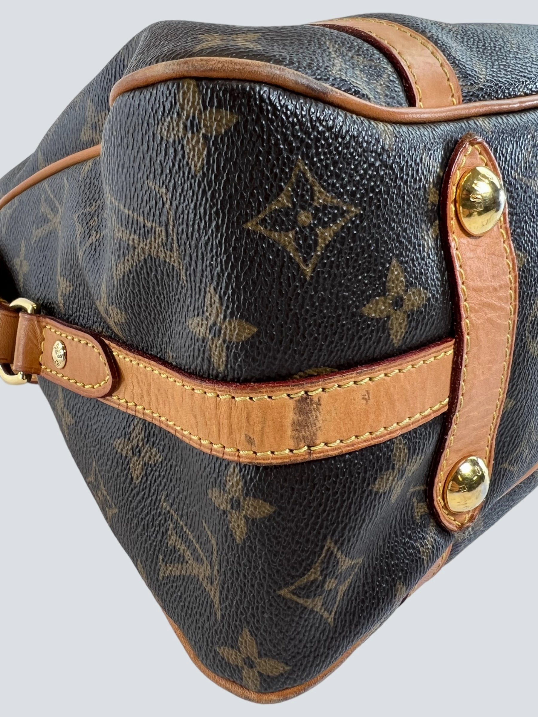 Louis Vuitton Monogram Canvas Stresa Tote